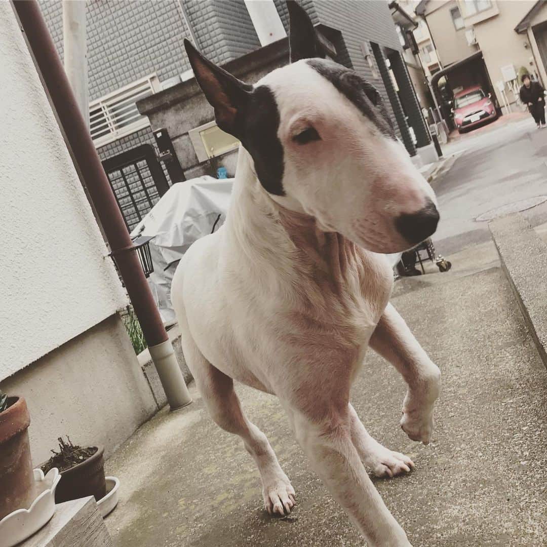 Q太郎のインスタグラム