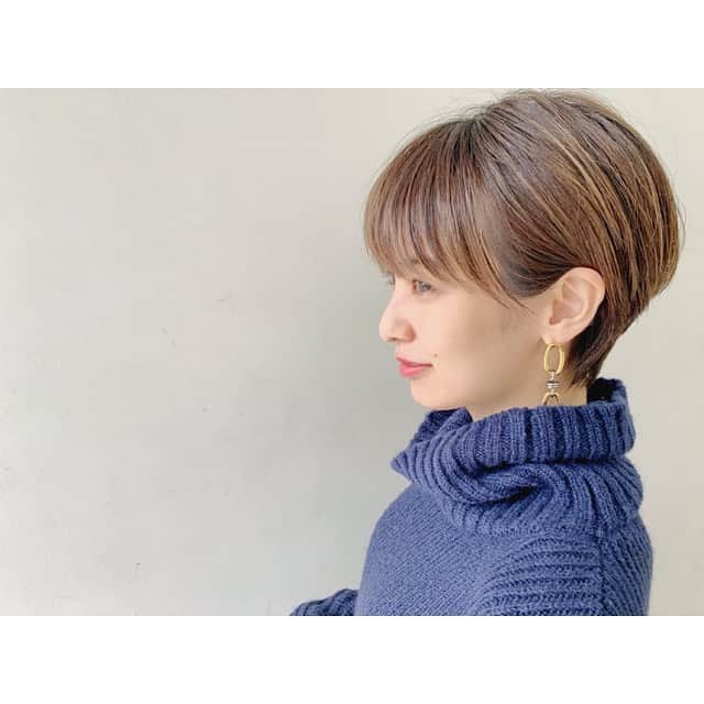 南明奈さんのインスタグラム写真 - (南明奈Instagram)「『髪型を真似したいのでわかりやすい写真を載せてください‼︎』 との声を最近たくさんいただいてるので…✨ カットは　@naomaruoka さんにお願いしています☺️ #ショートカット　#ショートヘア　#ショート女子　#shorthair」1月27日 17時37分 - akinaminami