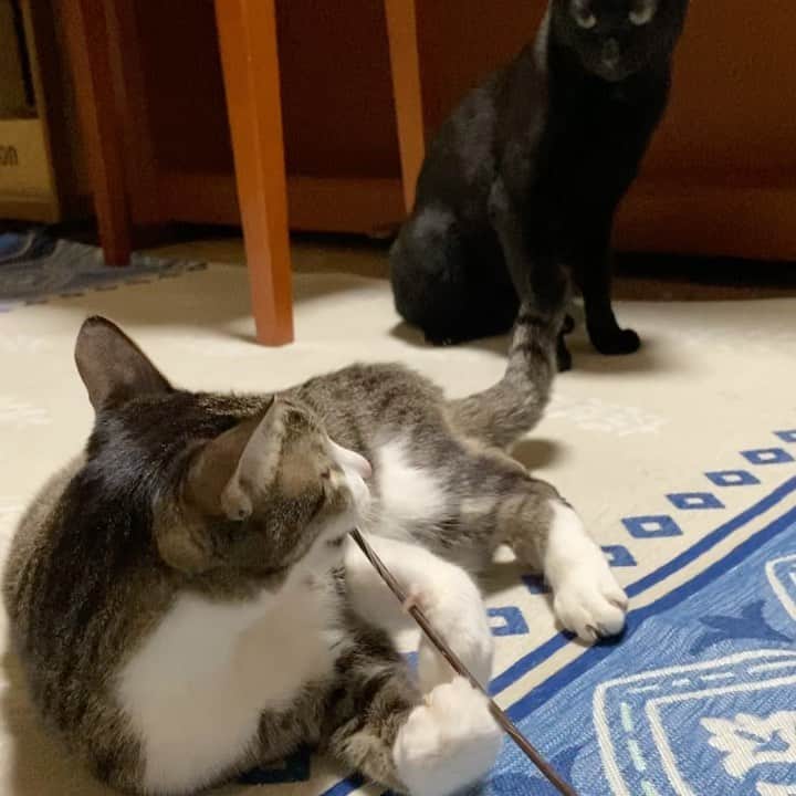 MAKO0MAKO0のインスタグラム