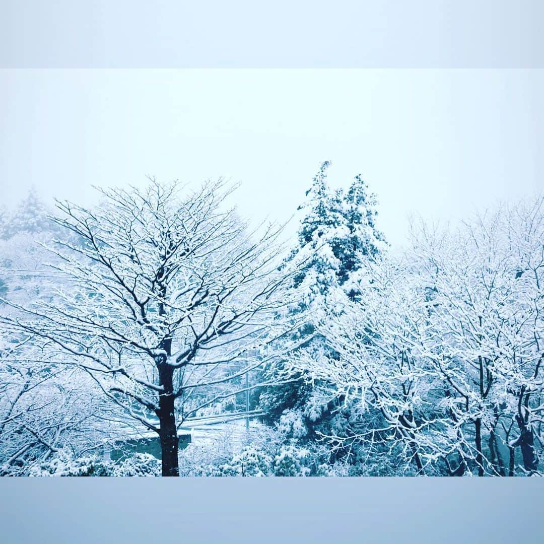 橋本麗香のインスタグラム：「🤍☃️❄️」