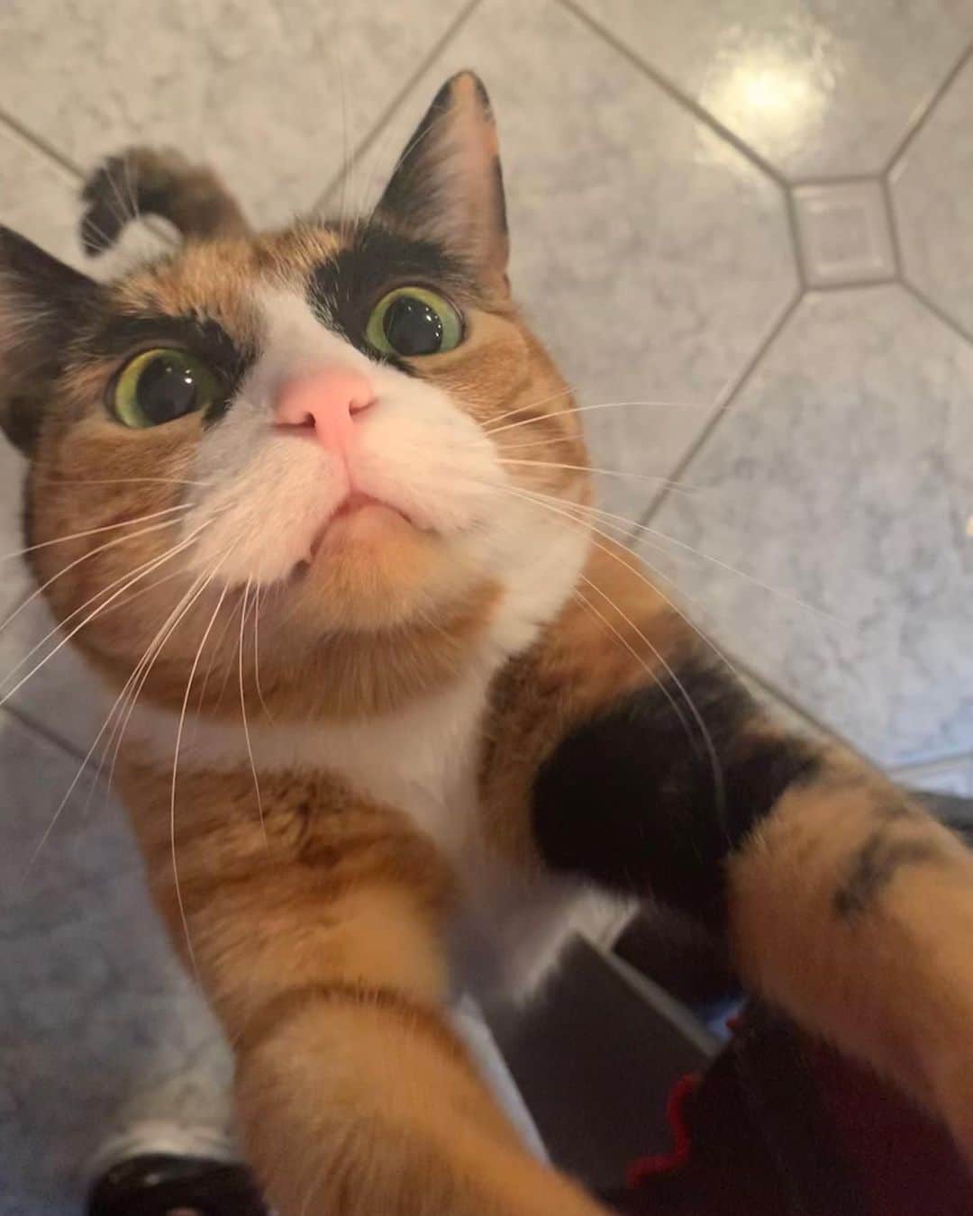 のインスタグラム：「Pleaseeee don’t let it be Monday!」
