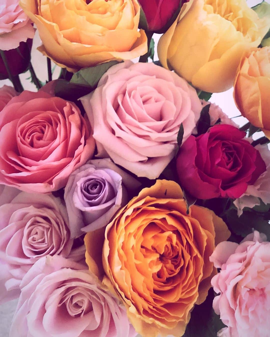 辻直子さんのインスタグラム写真 - (辻直子Instagram)「#thankyourose#i♡flowers#looksgood #お花をいただく#どれに生けてどこに飾って#お部屋の温度も#毎日ながめながらなんとなーく手をかけてあげると🙄#長く一緒にいられるんです  こんなにたくさんの種類うれしい♡ 明日の天気お手柔らかに」1月27日 21時06分 - naoko.ts