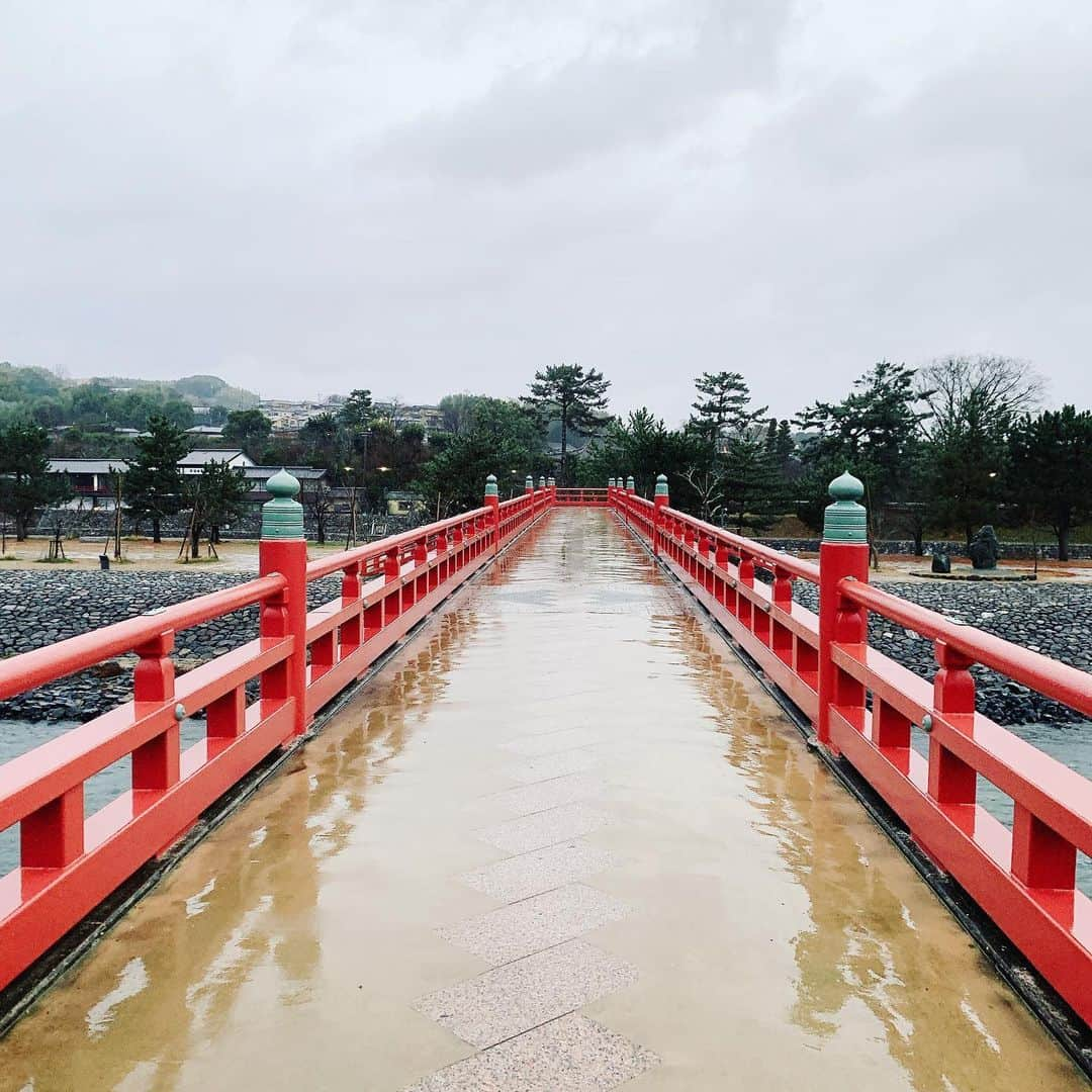 唐沢美帆のインスタグラム