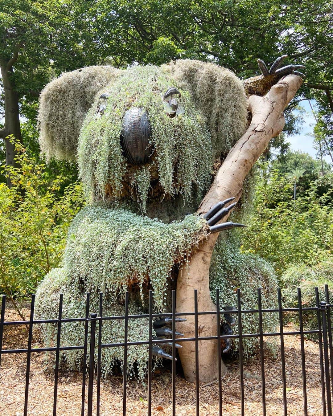 荒尾茉紀のインスタグラム：「きのうは公園ピクニック🎵何枚目かのどこかに私います😎 It's a mission to find me in these pictures ❤️ #sydney #ボタニックガーデン #botanicgardensydney #留学 #暑かった #かなり広い‼︎」