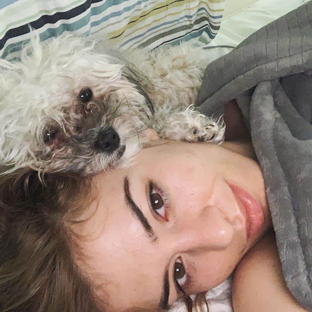 のインスタグラム：「I thought my bed head was a little fuzzy this morning 🤔... good ol @chip_doggy being a cuddly clinger as always. #lovemydog #mybaby #dogs #puppy」