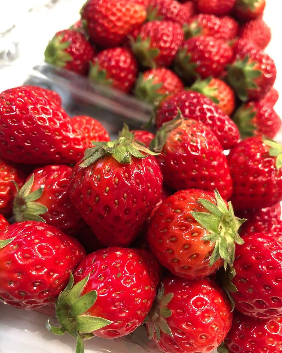 livingorganics juice&place 芦屋のインスタグラム：「今日はとても暖かいですね♪  高知県から甘くて美味しい紅ほっぺが 今日もたくさん届きました。  ストロベリー抹茶ティラミスparfaitは1月末で販売終了予定になります。  美味しい紅ほっぺを贅沢に使用した当店のparfaitを是非食べにいらして下さいね。  皆様のご来店心よりお待ちしております。  #strawberry抹茶ティラミスparfait#strawberryparfait#いちごパフェ#いちごparfait#紅ほっぺ#豆乳ホイップ#締めパフェ#ご褒美パフェ#livingorganics#livingorganic#cafe#coldpressedjuice#healthyfood#coffee#arabicacoffee#foodphotography#smoothie#yoga#神戸カフェ#sweets#芦屋カフェ」