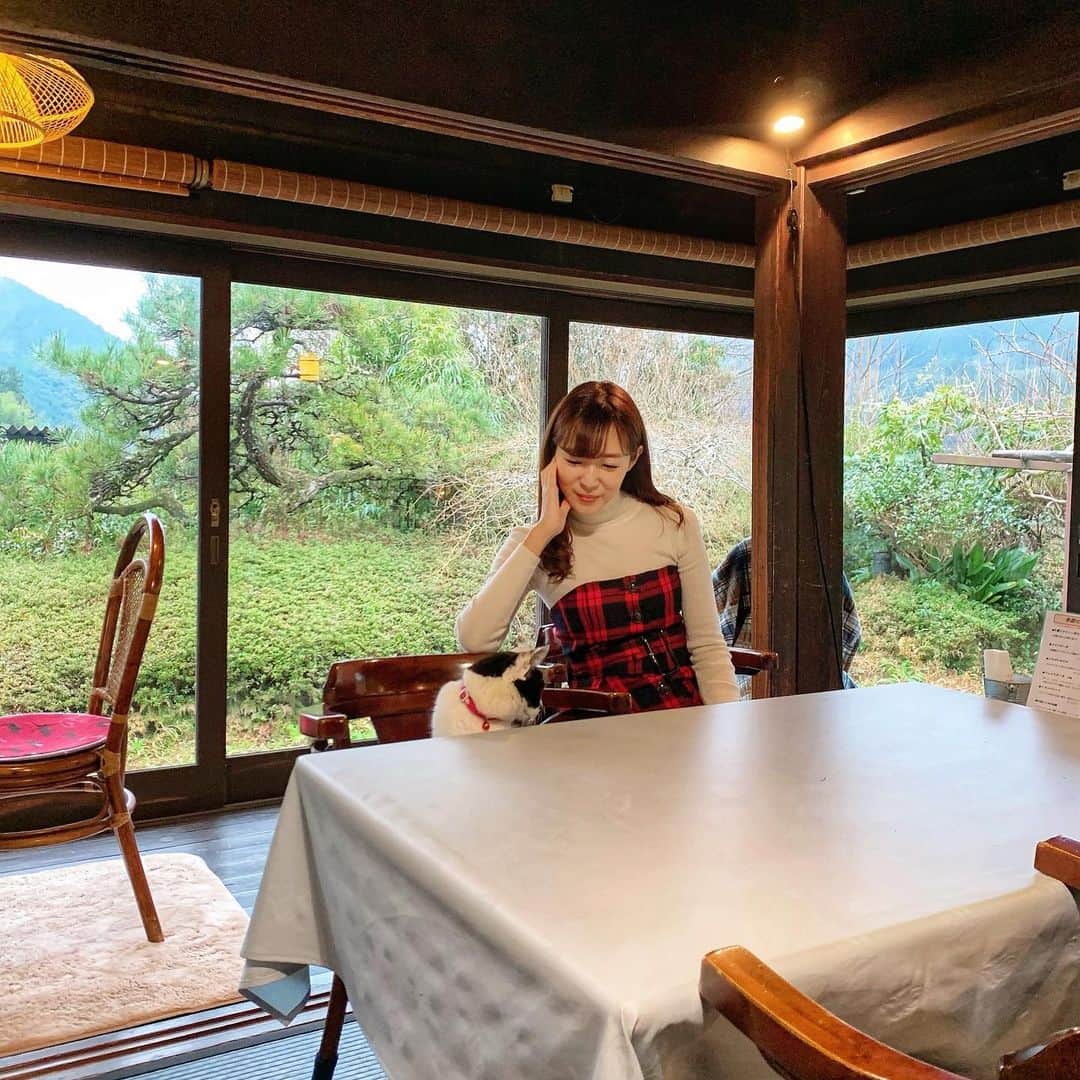 小野澤玲奈のグルメインスタ