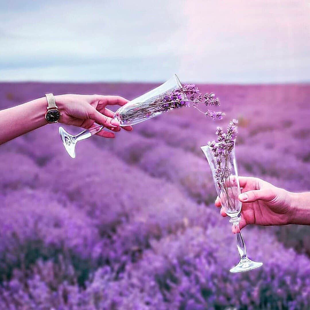 Henry London Official page of Britishのインスタグラム：「Cheers to making through Monday! 🥂 📷 @my_mariann . . . #henrylondon #henrywatches #womenswatches #womensfashion #london #britishdesign #britishbrand #vintage #heritage #stratford #floral #mondaymotivation #purple #watchesofinstagram #tealwatch #flowers #valentine #valentinesday」