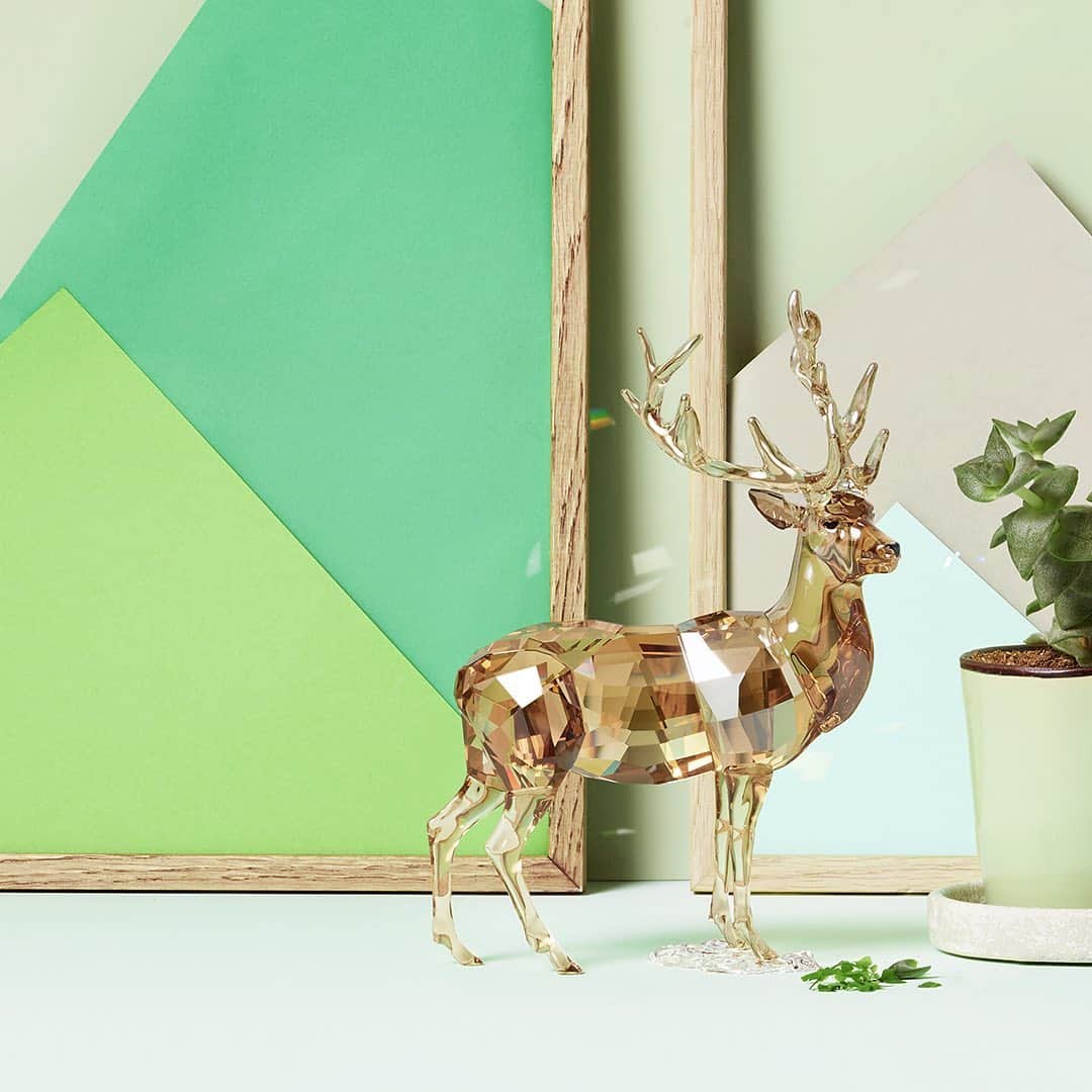 のインスタグラム：「Majestic and powerful, the stag is a force of nature to admire in your living room. #SparkDelight」