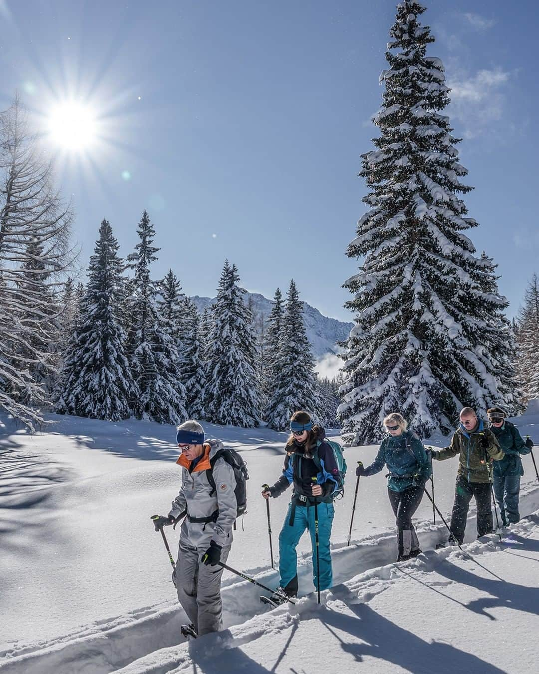 Mammutさんのインスタグラム写真 - (MammutInstagram)「Whether starting from a hotel, staying at a mountain guest house or trekking from hut to hut, on a Mammut Alpine School snowshoeing tour you will wander through the fascinating winter landscape and get to know diverse areas. The thrill of the new, diversity and active exploration awaits you.  Check out the wide range of offers on mammutalpineschool.com and enjoy an unforgettable winter adventure with us!  #mammut_swiss1862 #mammutalpineschool #snowshoeing」1月28日 2時35分 - mammut_swiss1862