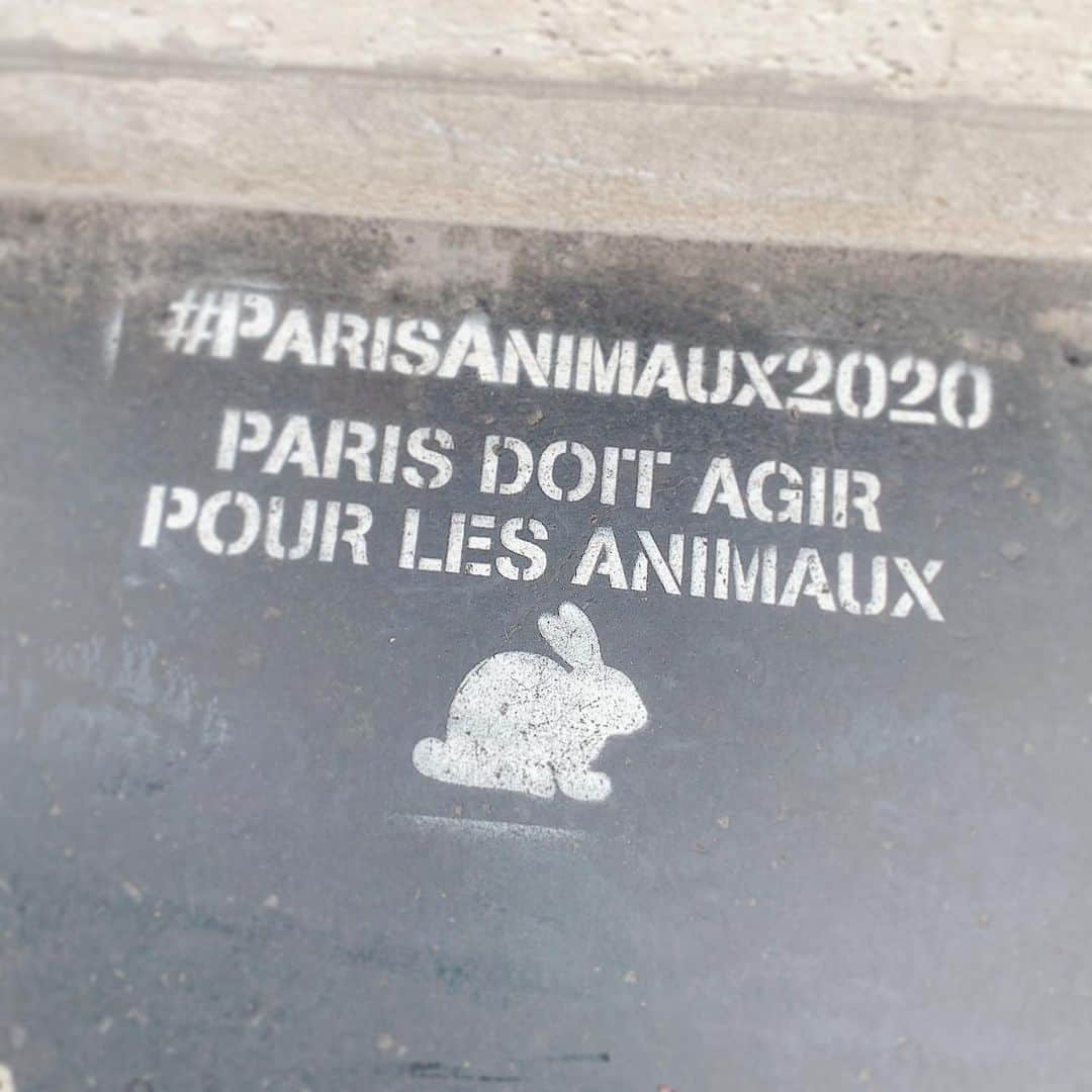 のインスタグラム：「❤︎ parisにいると時間が経つのが早い🥀 どこにいっても、みんな優しくて親切で素敵だなぁ。穏やかな時間〜　🇫🇷 そして、日本人との出会いもあったり 嬉しいハプニングばかりで毎日がamusante Bonsoir ！」