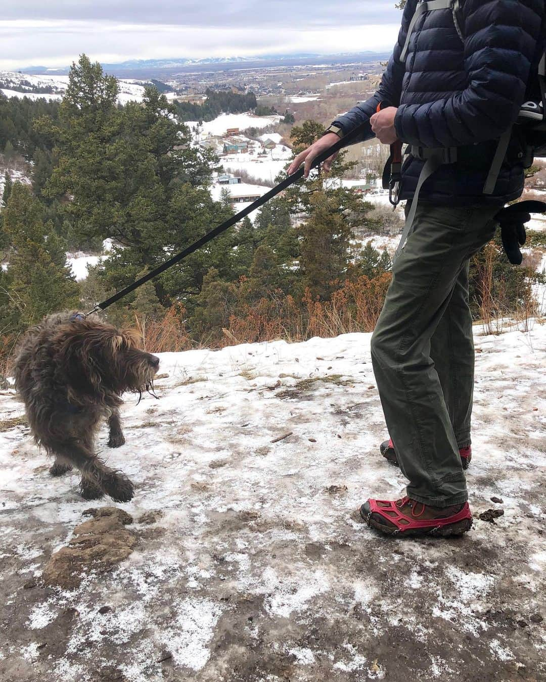 オボズさんのインスタグラム写真 - (オボズInstagram)「#RuffMonday when your weekend was spent hiking muddy, icy trails...and noticing an unfair advantage by a certain someone with waterproof Bridgers + spikes.⠀ ⠀ How did you spend your weekend outside?⠀ .⠀ .⠀ .⠀ .⠀ #dogsofoboz #dogsofinstagram #officedogs #hikingwithdogs #winterhiking #hiking #montana」1月28日 6時00分 - obozfootwear