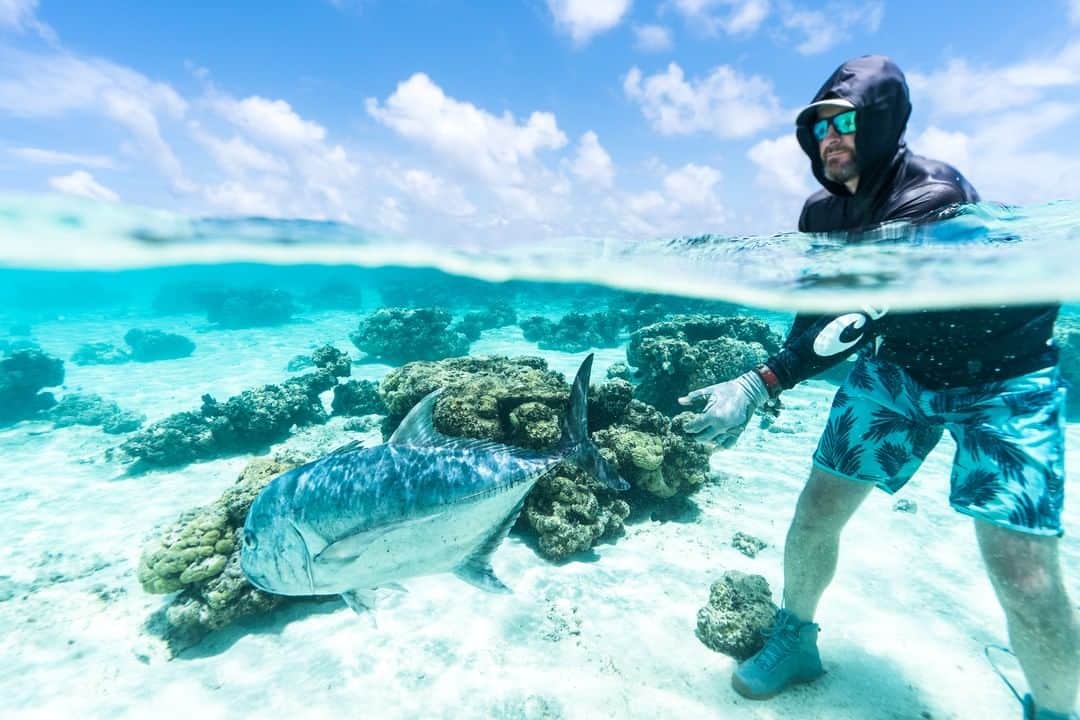 Costa Sunglassesのインスタグラム：「Geet goodbye. 📷: @aussieflyfisher #SeeWhatsOutThere #BornOnTheWater」