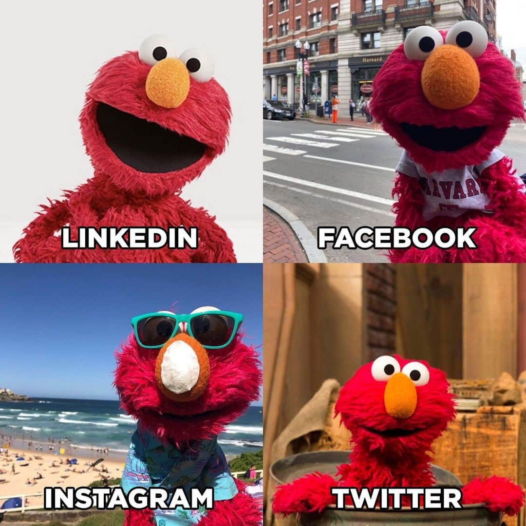 セサミストリートさんのインスタグラム写真 - (セサミストリートInstagram)「When Sesame Street friends become LinkedIn profile pic goals 🔥 • • • #sesamestreet #cookiemonster #elmo #oscar #oscarthegrouch #dollypartonchallange #dollypartonmemechallenge」1月28日 7時46分 - sesamestreet