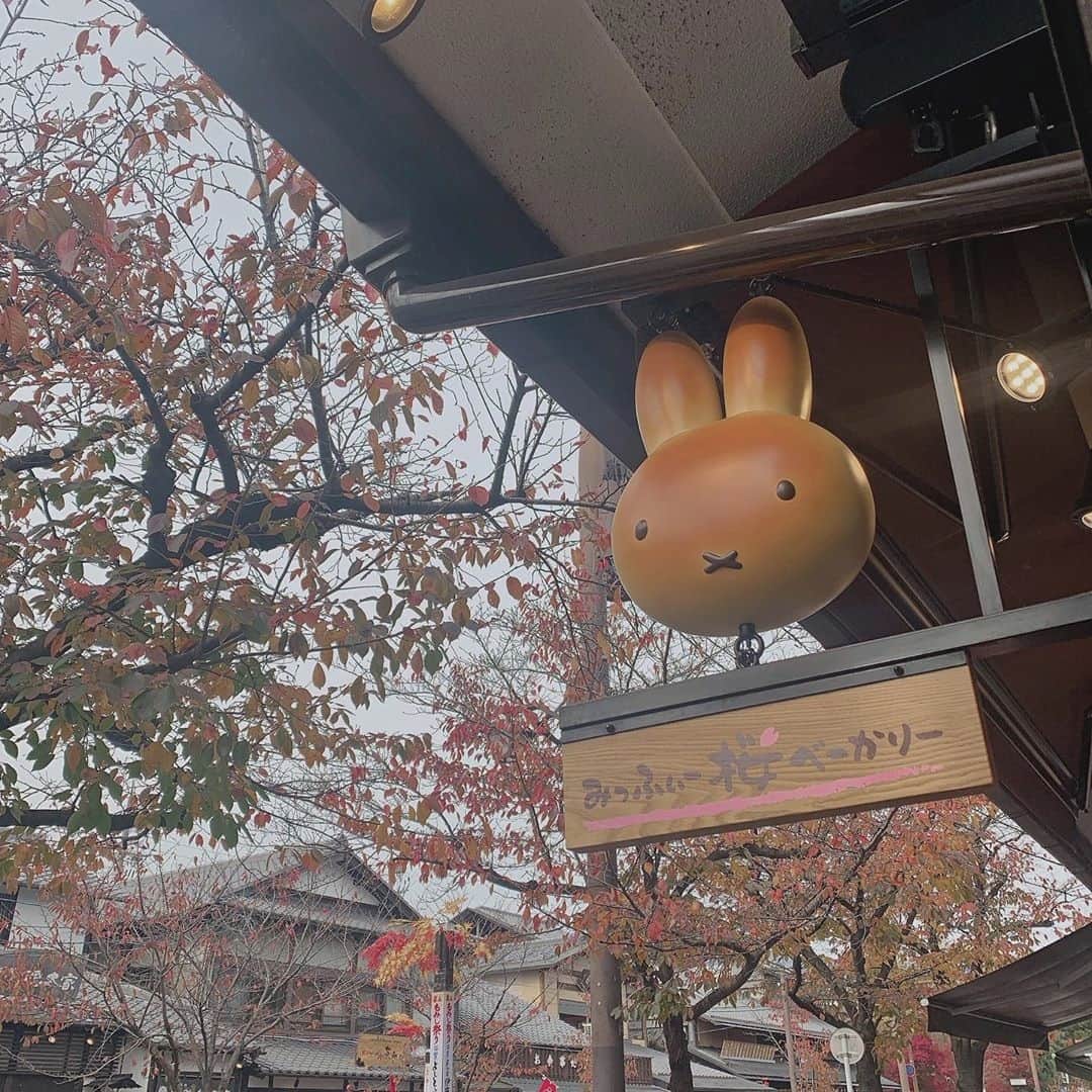 MERYさんのインスタグラム写真 - (MERYInstagram)「. ミッフィーのお顔のパンが可愛すぎる♡ 京都にある『みっふぃー桜べーかりー嵐山店』では、『みっふぃーあんぱん』をはじめ、様々な焼き立てパンを頂くことができますよ。嵐山を訪れる時は、ぜひ立ち寄ってみて。 . 【店舗情報】 住所：京都府京都市右京区嵯峨天龍寺造路町20番27 営業時間：10：00～17：30 【冬期間：12/6～3/5】 定休日：年中無休 . MERYでは他にも「かわいい」に近づくさまざまな情報を発信しています。 @mery.beauty コスメ・美容に特化した情報をお届け♡ @mery_spot 話題のカフェやお出かけスポットをご紹介！ こちらもぜひチェックしてみてください！ .  photo by @yukim.jp @ropchan0 . #MERY #regram #cafe #bakery #みっふぃー桜べーかりー #みっふぃー桜ベーカリー #ミッフィー桜ベーカリー #ミッフィー #miffy #京都カフェ #嵐山カフェ #パン屋 #パン屋さん #パン屋巡り #パン屋さん巡り #京都グルメ #京都ベーカリー #嵐山グルメ #嵐山食べ歩き #ミッフィー好きと繋がりたい #京都 #嵐山 #ベーカリー #ベーカリーカフェ  #お洒落 #お洒落さんと繋がりたい #カフェ #カフェ活 #MERY女子 #メリー」1月28日 8時00分 - mery.jp
