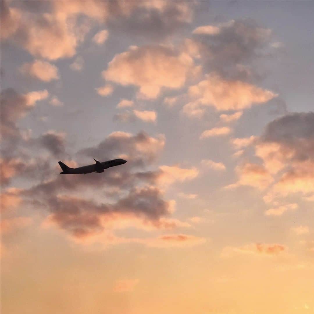 のインスタグラム：「. Sometimes it's important to just stop and take a deep breath! Look up to the sky and you might just see something new✨ #NewJourneyJanuary  たまには立ち止まって深呼吸🌬 空を見上げたら違う景色が見えてくるかも🌇 . . Post your memories with #FlyJAL  #JapanAirlines  #travel #airplane #travelawesome #sky_perfection」