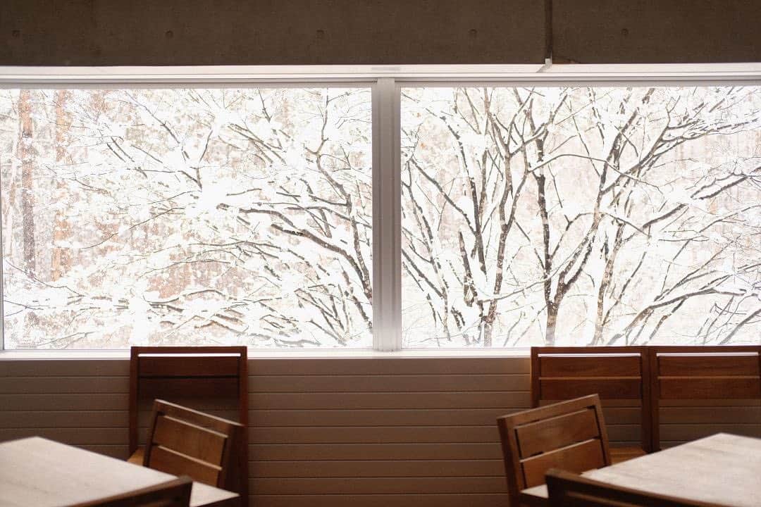 松山油脂さんのインスタグラム写真 - (松山油脂Instagram)「富士河口湖工場の食堂から。積雪は50cmを超えています。 #松山油脂 #matsuyama #富士河口湖町 #fujikawaguchiko #雪景色」1月28日 17時23分 - matsuyama_official