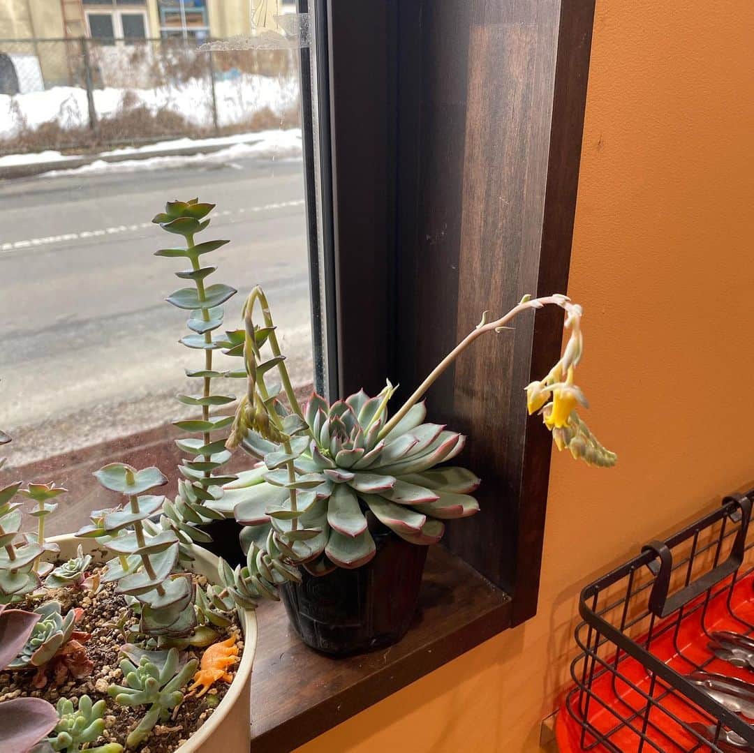 魔女菅原のグルメインスタ