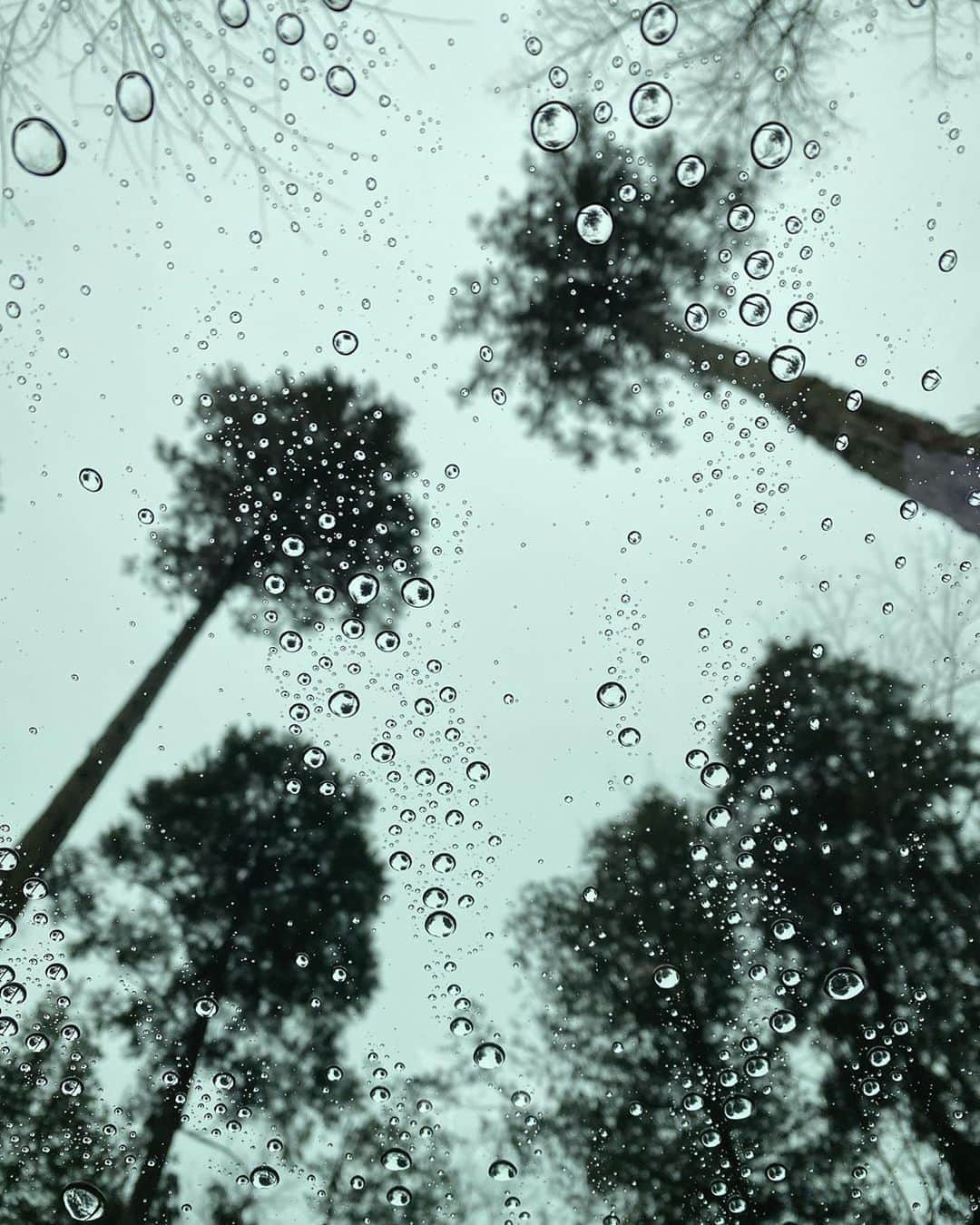 永井理子のインスタグラム：「最近、雨多いね☔️」