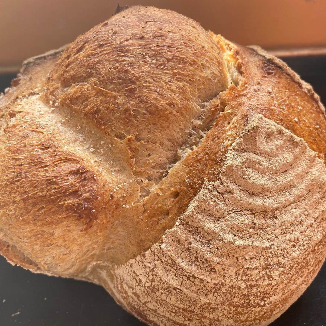 魔女菅原のグルメインスタ