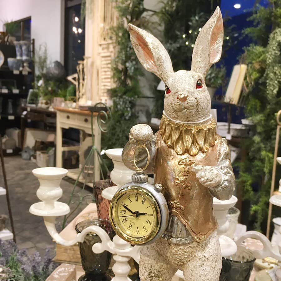 横浜ディスプレイミュージアムのインスタグラム：「イースターアイテム入荷しております🌷  パステルカラーが可愛いエッグオーナメントやドライフラワーのリースなど、春物アイテムが続々と入荷中です♬  今年のイースターは4月12日だそうですよ🌼  #横浜ディスプレイミュージアム #株式会社ポピー #横浜 #ディスプレイ#アーティフィシャルフラワー #フラワーアレンジメント #フラワーデザイン #装飾#デコレーション #花のある暮らし #花好きな人と繋がりたい #yokohama #flowerarrangement #artficialflower #flowerstagram」