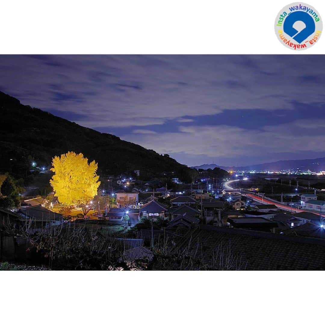 和歌山県さんのインスタグラム写真 - (和歌山県Instagram)「Insta_Wakayamaでは、皆さんがハッシュタグをつけて投稿してくださった写真から、素敵な写真をご紹介させていただきます！ 本日は、和歌山県観光連盟とのコラボ企画「 #グッドトリップ和歌山 」投稿キャンペーンの月間優秀賞（２０１９年１２月）作品をご紹介いたします。  まず１枚目は @i_lob_lue さんが投稿されました、かつらぎ町にあります丹生酒殿神社のお写真です。 ２枚目は @makironphoto さんが投稿されました、田辺市の護摩壇山のお写真です。 ３枚目は @phylloxera.jp さんが投稿されました、高野町にあります高野山奥之院のお写真です。 ４枚目は @masaki763 さんが投稿されました、新宮市の瀞峡のお写真です。 ５枚目は @okayuki0625 さんが投稿されました、白浜町にあります安宅八幡山城のご神木のお写真です。 昨今、冷え込みを感じる日が多くなりましたが、お写真にも雪景色など冬の風景が増えてきましたね！  参考：https://www.wakayama-kanko.or.jp/goodtrip/ （和歌山県観光連盟HP）  @insta_wakayama では、引き続き #グッドトリップ和歌山 投稿キャンペーンを開催中です！ 和歌山県の素敵なお写真を投稿していただいた方々の中から、毎月5名様に1万円をプレゼント🎁します！ 詳しくは @insta_wakayama のプロフィールにあるURLをチェックしてください。 また和歌山に関する投稿にはぜひ「 #insta_wakayama 」ハッシュタグをつけてください★ 和歌山の魅力を皆さんで発信していきましょう！ ハッシュタグをつけるとともに、写真の場所の記載や位置情報の登録をしていただければ幸いです🎵  #和歌山県 #観光和歌山 #風景 #風景和歌山 #なんて素敵な和歌山なんでしょう #wakayama #insta_wakayama #wakayamagram #instameet_wakayama  #nagomi_wakayama #visitwakayama」1月28日 17時43分 - insta_wakayama