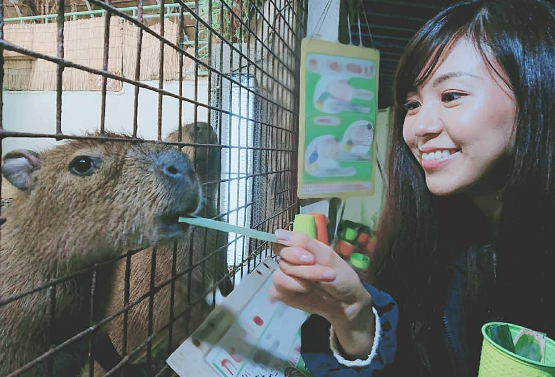 清水優美のインスタグラム