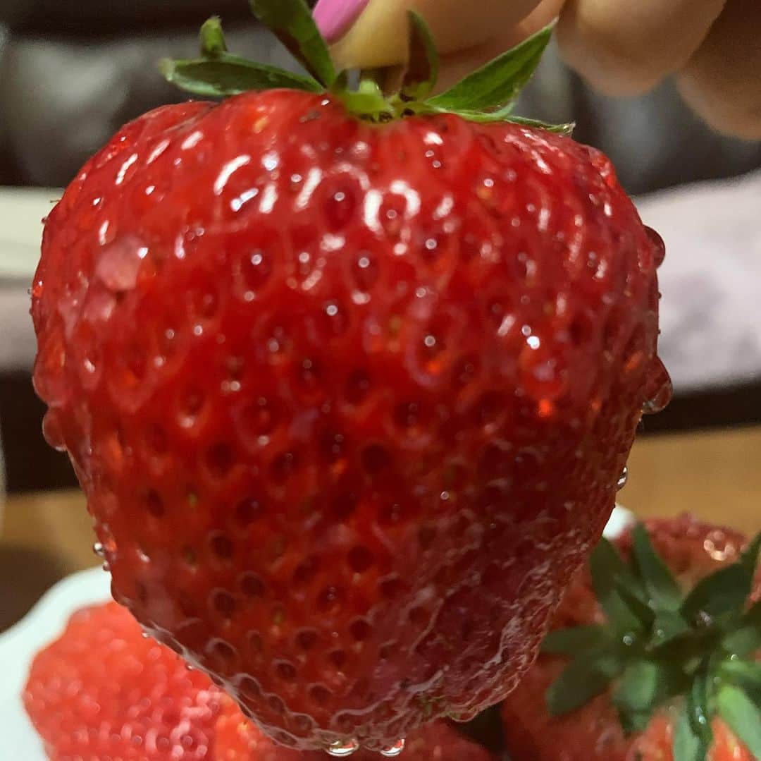 安井友梨さんのインスタグラム写真 - (安井友梨Instagram)「今日のブログは【私が衝撃をうけたものを2つご紹介します💗】 日本一美味しい苺大福、 日本一美味しい苺🍓  衝撃をうけたものをご紹介💗  今しか食べれない、 今が1番美味しい苺🍓🍓🍓 是非味わってみてください💗  写真は、、、 いよいよ！！ 今週末、2月1日！！ FAVOLINK APPAREL 第3弾！  SHAPE BACK LEGGINGS  デビュー💗💗💗💗 シンプルですが、、 お尻のラインをさらに美しく、女性らしい可愛さ💗💗💗 お尻を小さく、短く魅せます。  新色のブルーグレー💗  @favo_link  #馬肉ハンバーグ  #ビキニフィットネス  #レギンス #美尻」1月28日 17時56分 - yuri.yasui.98