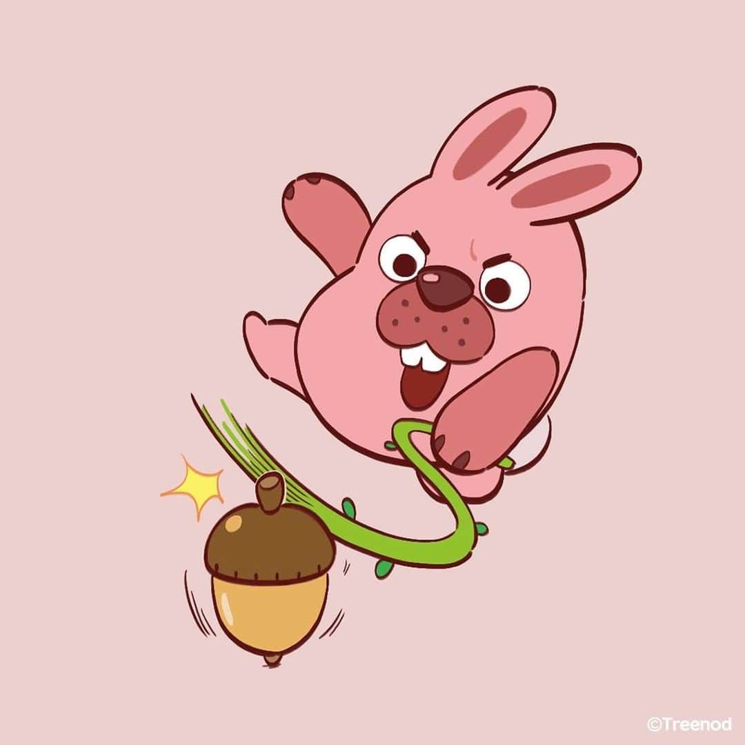 ポコタのインスタグラム