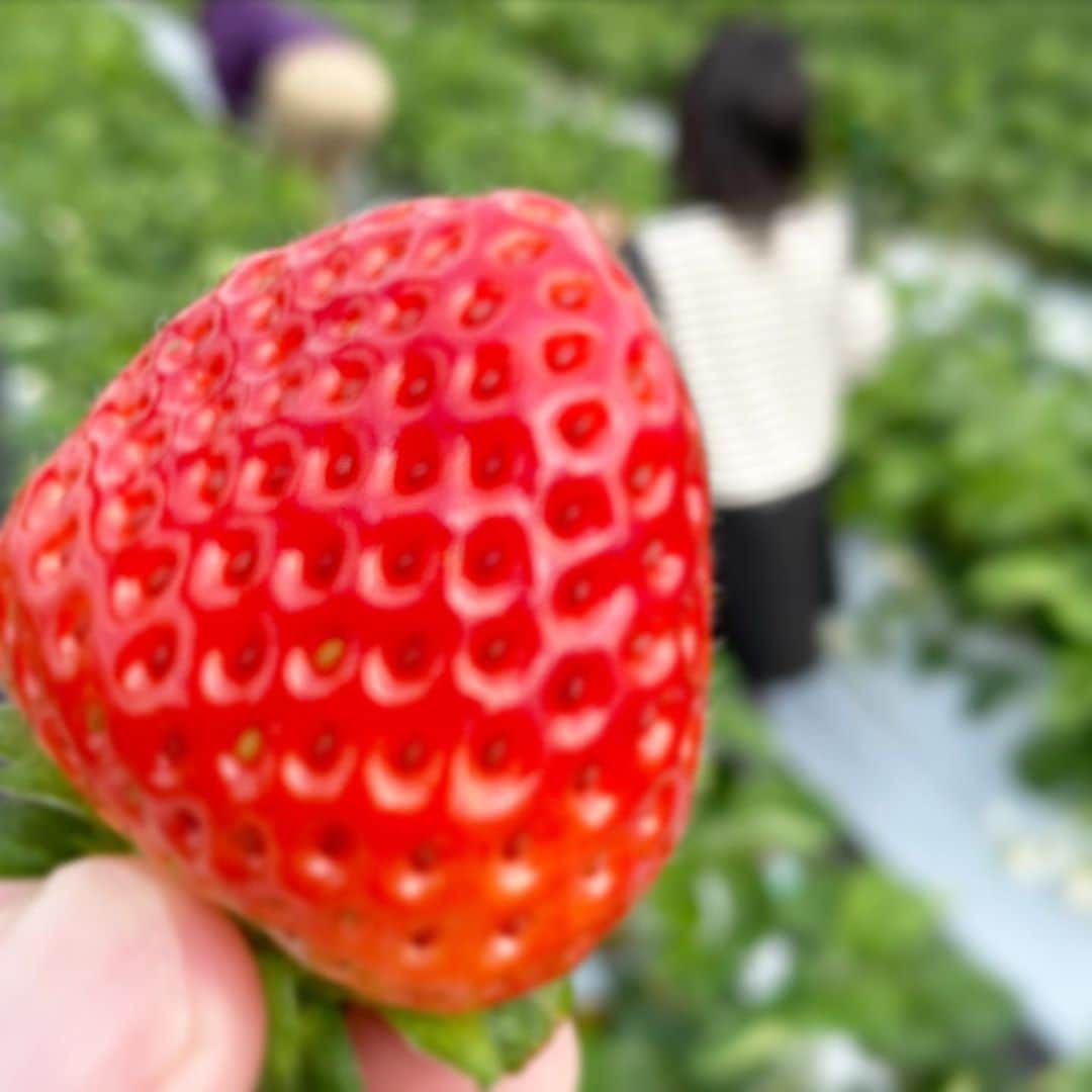 中華首藤のグルメインスタ