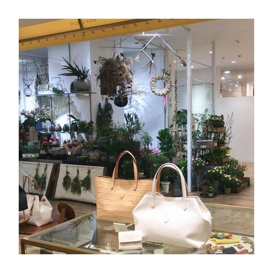 Felisi Japan 〔フェリージ〕さんのインスタグラム写真 - (Felisi Japan 〔フェリージ〕Instagram)「【フェリージ 鹿児島店】 . 人気の定番トートの色や素材をチェンジして新生活の準備を始めてみませんか？ . 春らしい色に、ナチュラルで上品なソフトキップレザー、モダンな印象のエンボスレザーの組み合わせ。花や緑に映える、いつもよりちょっと明るいチョイスがおすすめです。 . 皆さまのご来店を心よりお待ちしております。 . . . #felisi #bag #wallet #totebag #ss20 #leatherbag #smallleathergoods #フェリージ #トートバッグ #ウォレット #長財布 #コンパクトウォレット #ナチュラルカラー #バッグ #鞄 #マルヤガーデンズ」1月28日 9時49分 - felisi_japan