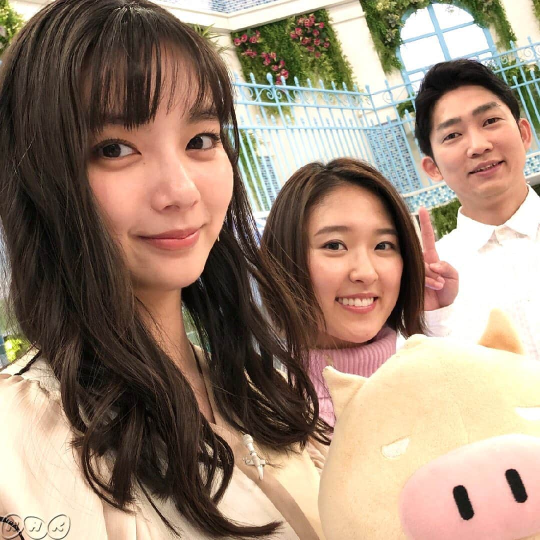 あさイチさんのインスタグラム写真 - (あさイチInstagram)「あさイチ初登場！新川優愛さん。﻿ 見つめられたら、吸い込まれそうな瞳👁✨ほんわかした笑顔に癒されました🌸﻿ 今日は短縮放送だったので、また遊びに来てくださいね！﻿ ﻿ #新川優愛 さん﻿ #石田明 さん　#nonstyle  #近江友里恵 アナ﻿ #nhk #あさイチ #8時15分から」1月28日 10時38分 - nhk_asaichi