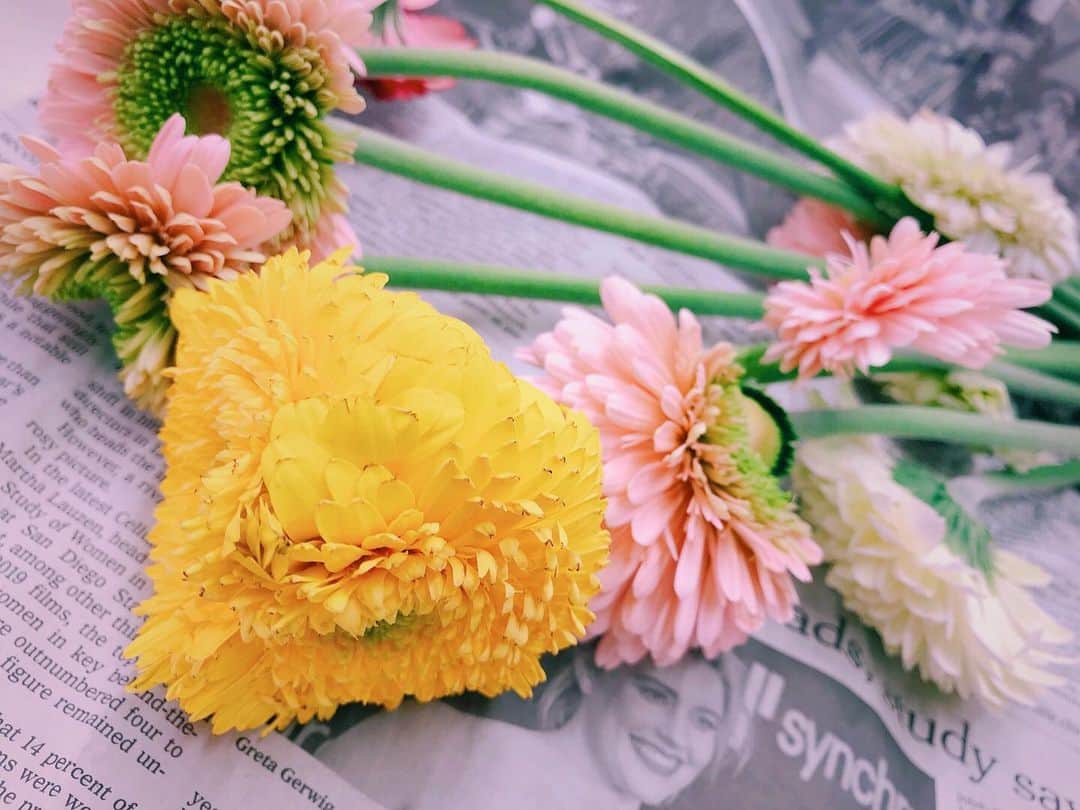 板橋よしえさんのインスタグラム写真 - (板橋よしえInstagram)「変わった形で咲いた変形ガーベラ🌼🌼🌼」1月28日 11時09分 - candy_yoshie