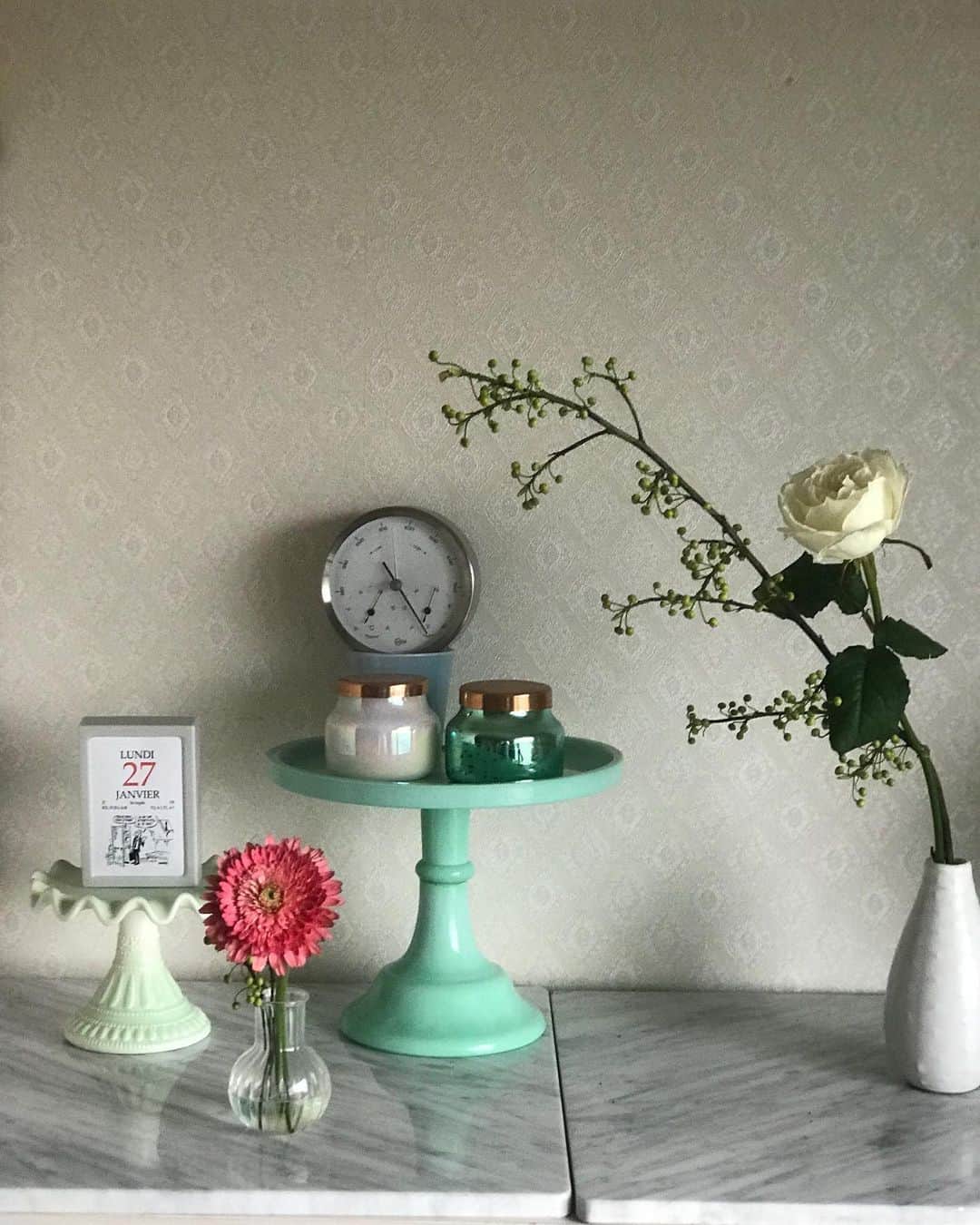 福田淳子さんのインスタグラム写真 - (福田淳子Instagram)「今週のお花は白いバラと青文字。 バラはとっても高価（私が買うには）だったけど、お花屋さんに行ってぱっと見てどうしてもそれが良かった。アイボリーががった白とぽってりとした丸みのあるフォルムが好きです。まだガーベラも元気。冬はやっぱりお花が長持ちします。  将来お金持ちなったら、お花の値段を見ずに好きなお花を買いたい。  #今週のお花」1月28日 11時16分 - junjunfukuda