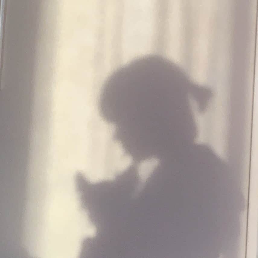 杉咲花のインスタグラム：「みなさまお元気ですか。 昨日は愛犬のお誕生日で、16年も共に過ごせていることをいっぱいいっぱい歓びました。大きなお誕生日ケーキを買ってね、家族で、美味しくて、しあわせで、尊い夜でした。毎日を大切に過ごそうと思いました。さー、今日も、張り切っていくぞ〜！」
