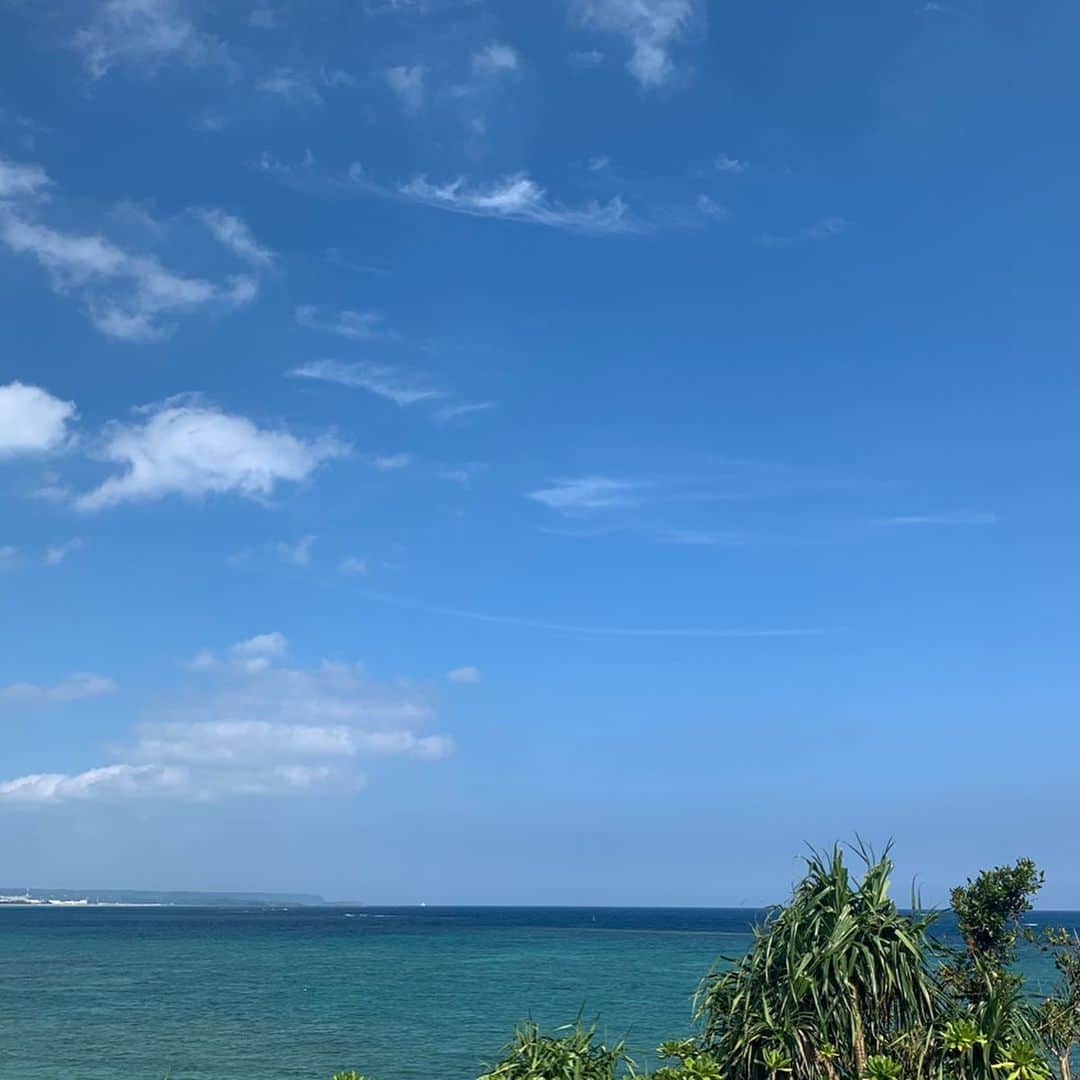 岡西佑奈さんのインスタグラム写真 - (岡西佑奈Instagram)「@hiramatsuhotels_resorts_ginoza  で40点近く飾っていただいている作品3シリーズ。 それぞれのシリーズの想いをここに記します^ ^ . 「青曲」 青く美しい海を見ると心は安らぎ 汚された海を見ると心は痛む。 幼少の頃より悠々と泳ぐ鮫の姿に魅了された私は、この“曲線美”を守りたい、そして美しい自然を守りたいと願った。 地球の生態系を守ることは平和へと繋がる道なのだと私は信じた。 彼らのように優美に泳ぐような曲線を描くこと、それは私の書線でありメッセージである。 平和への願いを込めて…。 . 「紅畝」 私はこの地球に心を感じる 潮の満ち引きは深い呼吸 大地の鳴動は強く脈打つ心臓 静かに降る雨に悲しさや優しさを 荒ぶる嵐や稲光りに怒りを 噴出するマグマには沸き上がる情熱を 地球の情熱が大地や海を創造し、様々な生命を誕生させた。 私たち人類は、地球の情熱から生まれたのだ。 心の奥底から沸き上がる平和への情 熱が、紅き畝りとなり私の曲線となる。 . 「緑踊 」 海の中から誕生した植物は 小さな魔法“光合成”を使うことが出来た。 この魔法により大気中に酸素が増えオゾン層が出来た。 植物達は上陸し、強い体を持つ樹木が誕生する。 大地に根を張り巡らせ空高くそびえ立つ彼らは、陸の奥地へと進み森を形成し水を蓄え生物達をも優しく包み育んだ。 未開の地へ突き進む植物達の強き心、様々な命を育む優しい心を私は感じる。 私達が住む地球には、様々な緑が踊っている。  #hiramatsuginoza#hiramatsuhotels#沖縄#宜野座#青曲#紅畝#緑踊 #calligraphy#yuunaokanishi#書道#書道家#岡西佑奈#書道家岡西佑奈」1月28日 13時58分 - yuunaokanishi