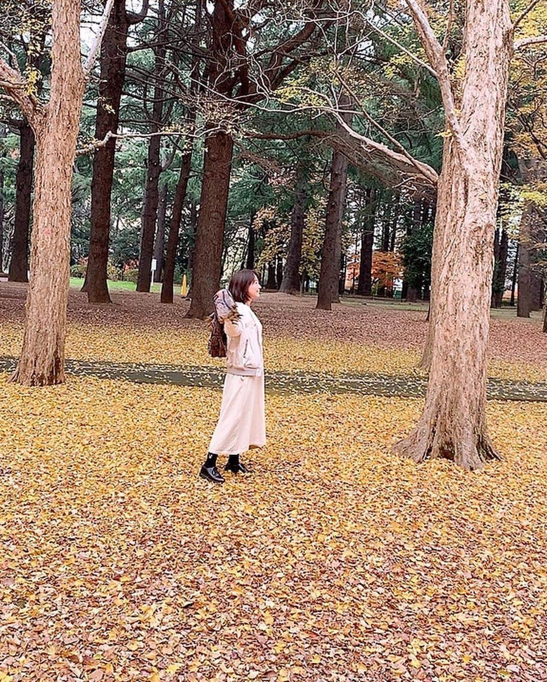 平田裕香さんのインスタグラム写真 - (平田裕香Instagram)「首に巻くまでの一部始終。  #代々木公園 #紅葉 2019年12月11日」1月28日 14時44分 - hirata_yukaco