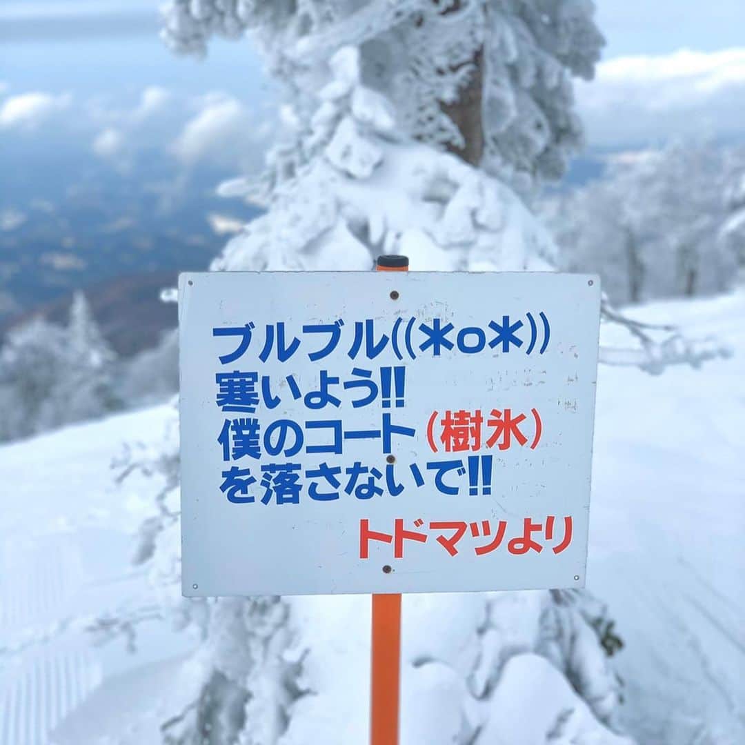 ガーラ・アマノ クリエイティブ部さんのインスタグラム写真 - (ガーラ・アマノ クリエイティブ部Instagram)「はじめての樹氷🐧❄️️﻿ 暖冬の日本ですが森吉山阿仁スキー場は立派に冬((((　˙-˙　))))﻿ しっかり寒いので防寒は忘れずに🙋‍♀️💓﻿ ﻿ 早速ゴンドラへ👀💭💕﻿ 山頂が近づくにつれてどんどん木々が白くなっていくーーー(興奮)🌲❄️️﻿ ﻿ 降りたところでは、長靴・スノーシュー・ストックを無料で借りられます🙌✨﻿ 手袋を探してもぞもぞしてたら手袋も貸していただきました🧤💓﻿ ﻿ 外に出るともう感動…🤭﻿ 暖冬で例年より少し控えめの樹氷はもこもこしててかんわいい🥺💕﻿ 感動で逆に語彙力を失い「綺麗ー！すごーい！」しか喋れなくなった我々は📷をパシャリながらてくてく…🚶‍♂️﻿ この子達はｱｵﾓﾘﾄﾄﾞﾏﾂという木なんだとか( *◉ω◉* )﻿ 真っ白な野生のうさぎ🐰やテン(イタチに似てる)も目撃( Ꙭ)‼︎愛でたい🤤﻿ 時間の都合で完全な頂上までは行けませんでしがいつか行ってみたいものですね🐻﻿ 乗合タクシーもあるみたい🚖💨﻿ ﻿ #秋田 #秋田内陸線 #秋田内陸縦貫鉄道 #内陸線 #森吉山 #森吉山阿仁スキー場  #阿仁スキー場  #スキー場 #北秋田市 #森吉山の樹氷  #樹氷 #スノーモンスター #snowmonster #japaneselandscape #winterlandscape  #visitjapan #tripjapan  #aniskiresort  #阿仁滑雪場 #樹冰 #雪景色 #冬景色 #スノーハイキング #雪 #冬 #スノーハイク #日本の絶景 #絶景 #수빙  #ガーラアマノ」1月28日 15時03分 - gala_amano