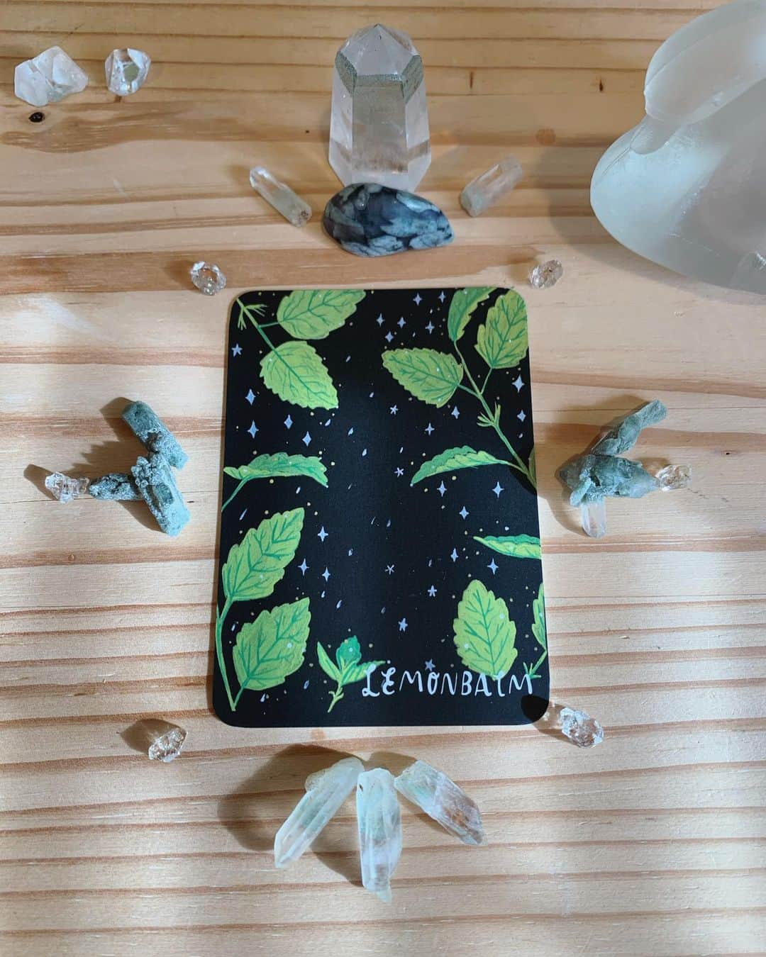OLIVIAのインスタグラム：「Today’s card- Lemon Balm💚 I’m so in love with these Plantlore Herbs art cards by @themoon_journal #themoonjournal」