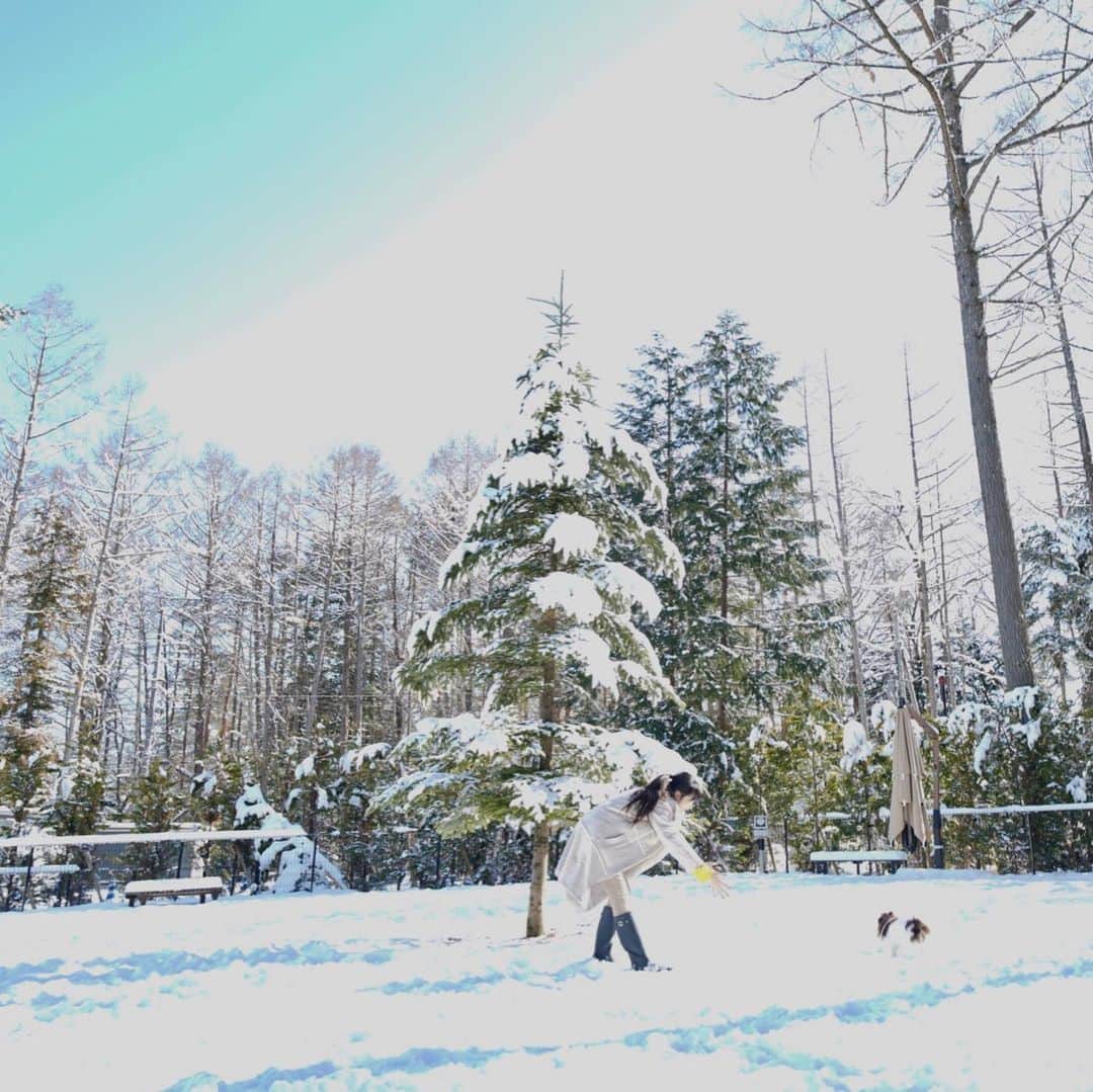 mycoのインスタグラム：「♨️わんこと泊まれる宿巡り🐶 りりは雪初体験☃️❄️ ズボズボッっと雪に埋もれても歩いてました（笑）←びっくり🙀 メゾネットタイプのお部屋は露天風呂も付いて広いお庭も☃️ 宿泊者の方は皆さんわんこ連れなのでご飯タイムが楽しいですね🍴帰りは忍野八海へ🚙  #レジーナリゾート富士  #ペットと泊まれる宿  #雪　#忍野八海　#わんこ連れ旅行 #dogstagram  #fujisan #tripgram」