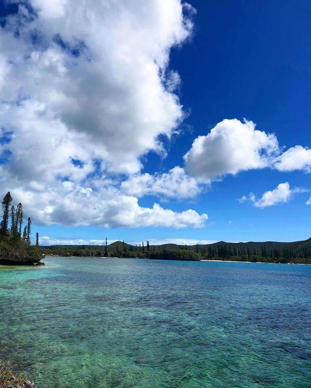 中川友里さんのインスタグラム写真 - (中川友里Instagram)「power of earth🙏🙏🧚‍♀️🧚🏻🤱🌊🌺🌎💫✨ ・ ・ ・ @off____white  @virgilabloh  @newcaledoniatourismjapan  @aircalin  @lemeridiennoumea ・ #エアカラン #ニューカレドニア観光局公式アカウント #天国に一番近い島 #newcaledonia #aircalin #ヌメア #イルデパン」1月28日 17時04分 - darayunya