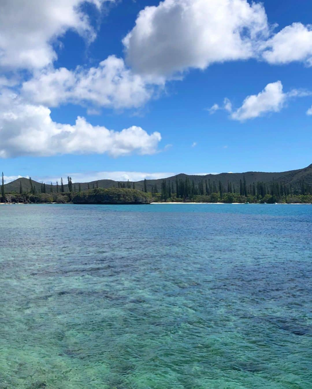 中川友里さんのインスタグラム写真 - (中川友里Instagram)「power of earth🙏🙏🧚‍♀️🧚🏻🤱🌊🌺🌎💫✨ ・ ・ ・ @off____white  @virgilabloh  @newcaledoniatourismjapan  @aircalin  @lemeridiennoumea ・ #エアカラン #ニューカレドニア観光局公式アカウント #天国に一番近い島 #newcaledonia #aircalin #ヌメア #イルデパン」1月28日 17時04分 - darayunya