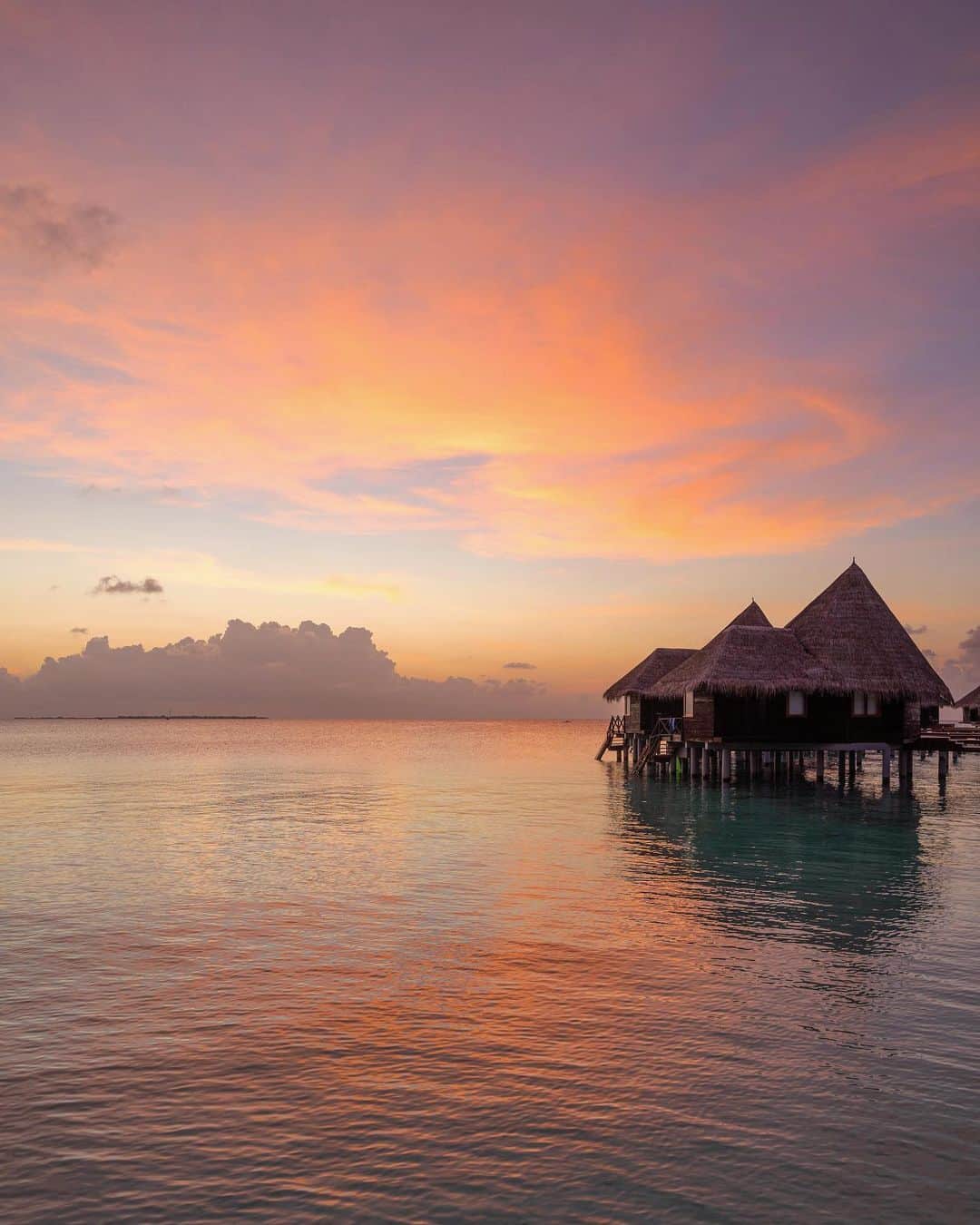 詩歩さんのインスタグラム写真 - (詩歩Instagram)「🏝﻿ ﻿ Magical hour in Maldives.﻿ ﻿ モルディブの夕日写真、３枚目📷﻿ ﻿ いつも夕日を見るときは、少なくとも日の入り時刻の前後30分、合計1時間は空けておきます。﻿ ﻿ 水平線に沈んでいく太陽もキレイだけど、私は沈んだあとの空が好き☺🌄﻿ ﻿ この日も、日没後しばらくビーチに佇んでいたら、空はまだ青いのに雲だけが夕陽にピンク色に照らされる幻想的な光景に出会えました。﻿ ﻿ まさに #マジックアワー ！﻿ ﻿ 夕陽が沈んだらすぐに帰っちゃう人が多くて、もったいない！！！これからもっと美しい時間帯になるのに…といつも思ってます。まあ、全員がマジックアワーが好きとは限らないけどね﻿ ﻿ ﻿ 皆さんはどんな空が好きですか？﻿ ﻿ ﻿ ﻿ #shiho_maldives﻿ 📍ココパーム ドゥニコル／モルディブ﻿ 📍COCO PALM DHUNI KOLHU RESORT／Malvides﻿ ﻿ ﻿ ﻿ ©詩歩/Shiho」1月28日 17時09分 - shiho_zekkei