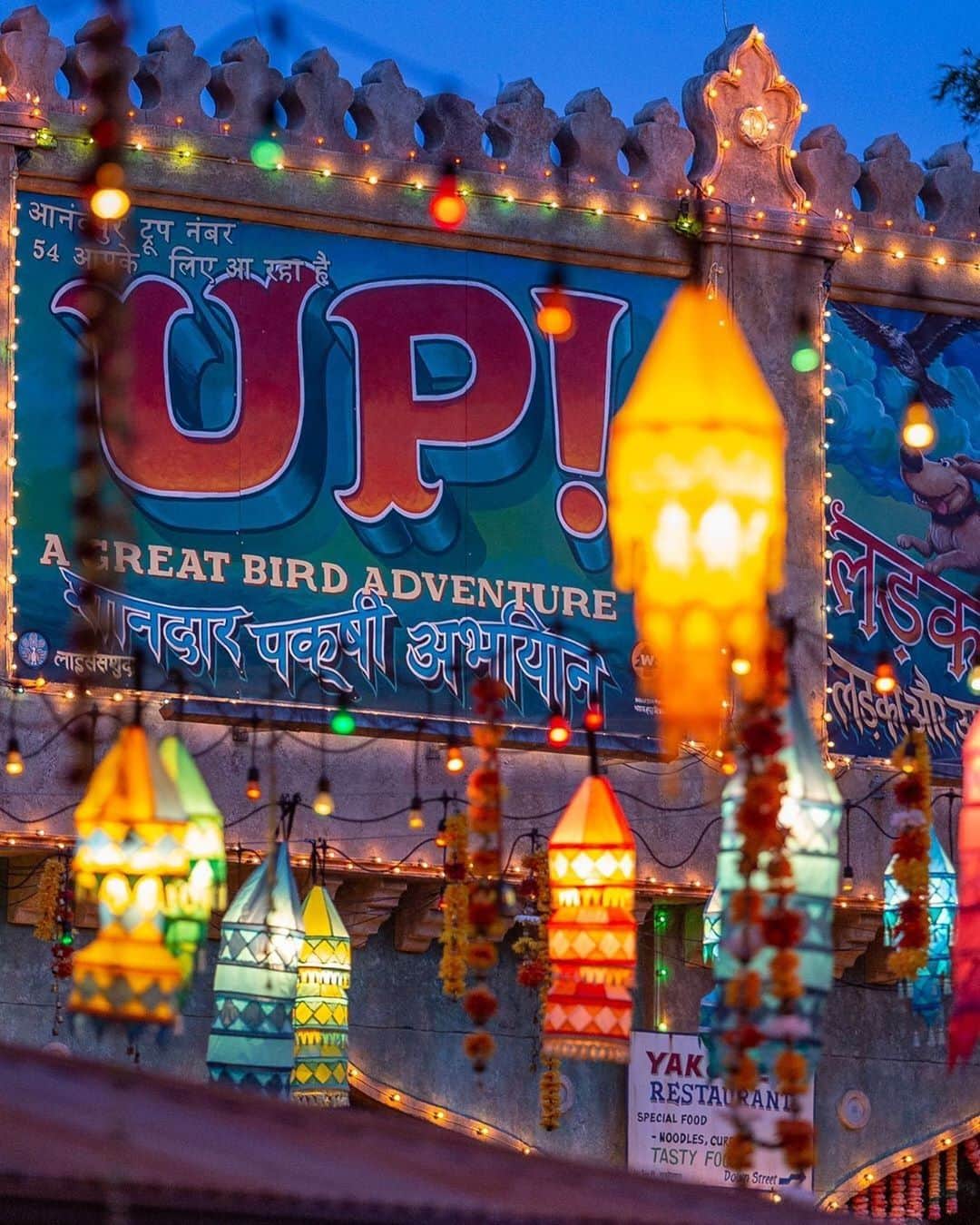 Walt Disney Worldのインスタグラム：「Make every day an adventure with your friends. Tag your adventure buddy! 🦜🌳🗺 #DisneysAnimalKingdom #WaltDisneyWorld (📷: @erniewcarr)」