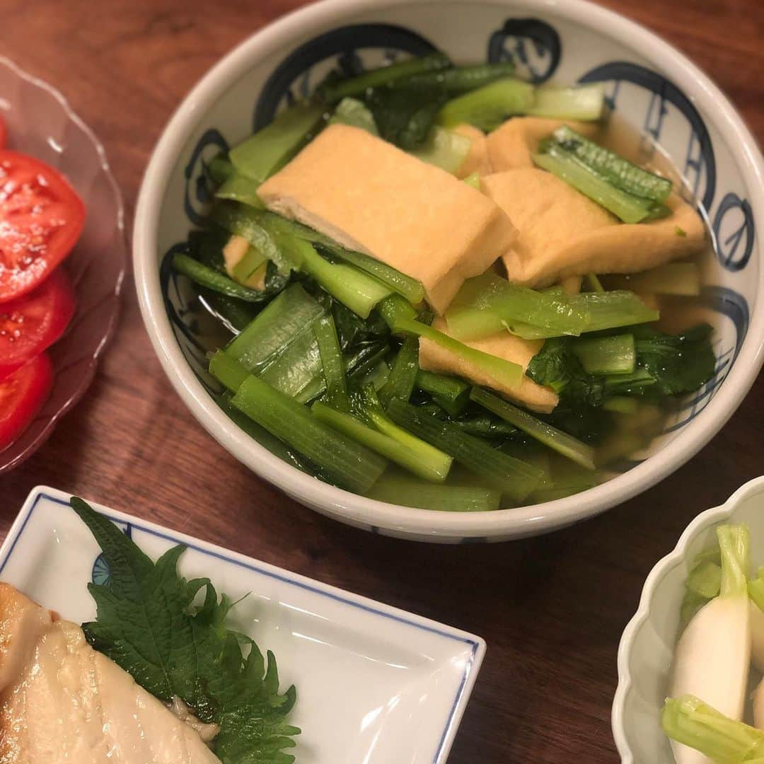 雨宮朋絵さんのインスタグラム写真 - (雨宮朋絵Instagram)「晩ごはん。 油揚げと小松菜の煮浸し、ひらすの粕漬け、かぶのサラダ、トマトサラダ、絹さやと豆腐の味噌汁。 「鈴波」の週一回だけ限定販売する尾の切り落としはとてもお得。また並んで買おうっと。  #おうちごはん #晩ごはん #ごはんきろく #ゆうはん #家庭料理 #いえごはん #ごはん」1月28日 20時15分 - amemiyatomoe