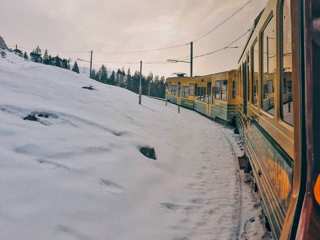 ソユさんのインスタグラム写真 - (ソユInstagram)「❄🚞👭」1月28日 20時08分 - soooo_you