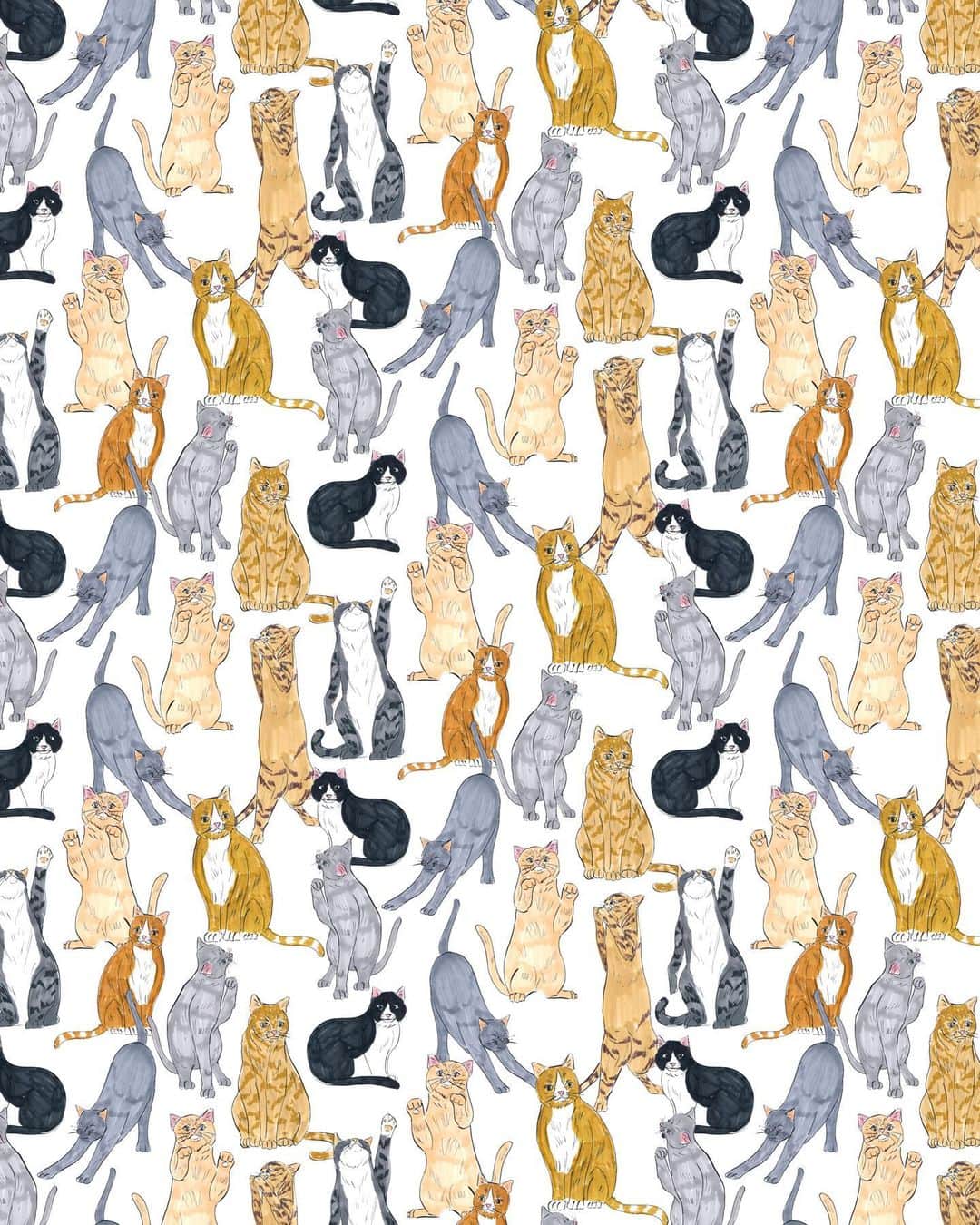 関根正悟さんのインスタグラム写真 - (関根正悟Instagram)「“MEOW🐈” ・ oh meow ・ ・ #textiledesign #printdesign #cats  #shogosekine」1月28日 20時14分 - shogosekine0319