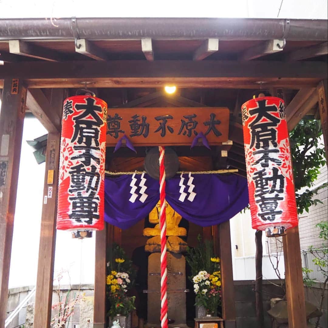 Kuboi Ayumiさんのインスタグラム写真 - (Kuboi AyumiInstagram)「御朱印巡りにつかれたので、ちょっとひと休み☆﻿ ﻿ 昨日は蛇窪神社へ行ってきました。﻿ 蛇窪神社は白蛇さまで有名な関東の金運アップのパワースポットです。﻿ ﻿ 60日に一度訪れる、金運があがる大吉である己巳の日（つちのとみのひ）ということで、蛇窪神社は混雑していて、御朱印は長蛇の列でしたよ。﻿ つちのとみの日限定の御朱印はゴールドとシルバーで書かれていて豪華なものでした。﻿ ﻿ しっかり白蛇様をなでなでもして、蛇窪神社で参拝した後は、大原不動尊と豊川稲荷にも参拝に。﻿ 御朱印はデザインが豊富で季節やイベント限定の御朱印もあり、集めはじめたらハマっちゃいますね。﻿ ﻿ 東急大井町線の戸越公園駅から蛇窪神社までの開運商店街でスタンプラリーをやっていたりもして﻿ お散歩しながら御朱印巡りを楽しめました。﻿ ﻿ 商店街には白蛇様モチーフの雑貨などもあって、いろいろなお店を見ながら歩くのも楽しかったです。﻿ ﻿ ちなみに、休憩で立ち寄ったのは、商店街にあるカフェ「やつどき」。﻿ 宝珠をイメージして作られたしろへび宝珠マフィンはへびくぼみやげにもピッタリですね。﻿ 外はカリっと中はしっとりとしたマフィンで、ラズベリーとごまの2種類。﻿ 冷えた身体をミルクティーで温めて。﻿ ﻿ キャンペーン中で、オシャレなしろへびマルシェバッグもいただいたので﻿ 早速、御朱印帳を入れてお散歩に出かけるのでした。﻿ ﻿ ﻿ @hebikuboichi﻿ ﻿ ﻿ #御朱印帳　#御朱印巡り　#御朱印ガール　#御朱印　#神社　#お寺　#tokyo #japan #つちのとみの日　#蛇窪神社　#へびくぼみやげ　#へびくぼ市」1月28日 21時10分 - himekagami