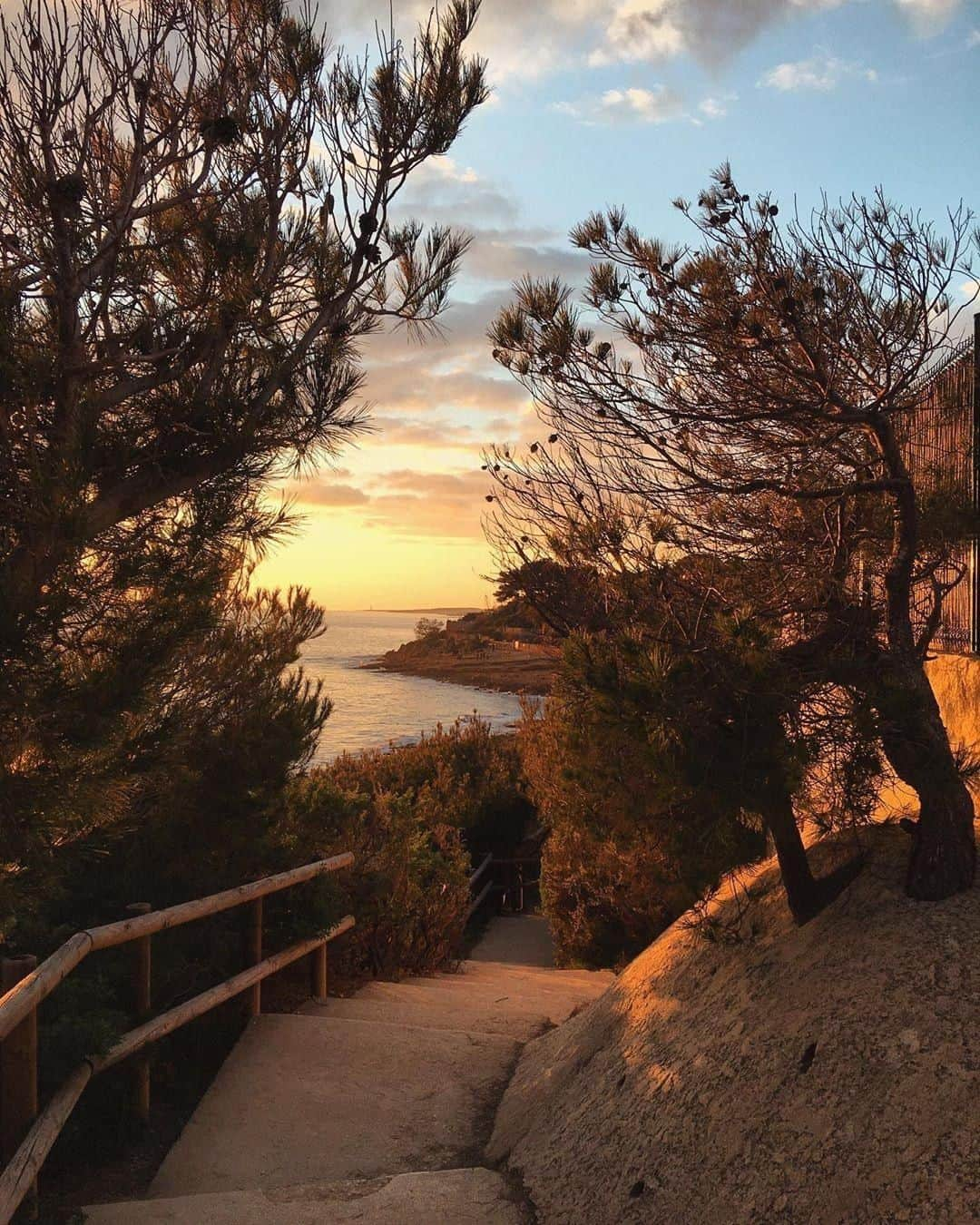 ロクシタンさんのインスタグラム写真 - (ロクシタンInstagram)「Winding down with beautiful skies and a classic Provençal view 😍 Tag who you'd love to watch this sunset with in the comments! 📷@constancepeych #LOccitane #Provence #Sunset #France #Sky #Nature #Sun #Light #Landscape #Beautiful」1月28日 23時00分 - loccitane