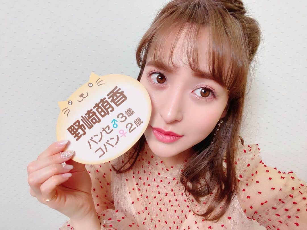 野崎萌香さんのインスタグラム写真 - (野崎萌香Instagram)「明日の 「今夜くらべてみました」に 出演します🐈❤️✨ . . .  いつもみている番組なので 緊張したのですが、 楽しかったです😆💞 . . . 猫に依存する女たちが集結しました😹  みんなみてね☺️❤️」1月28日 23時19分 - moeka_nozaki